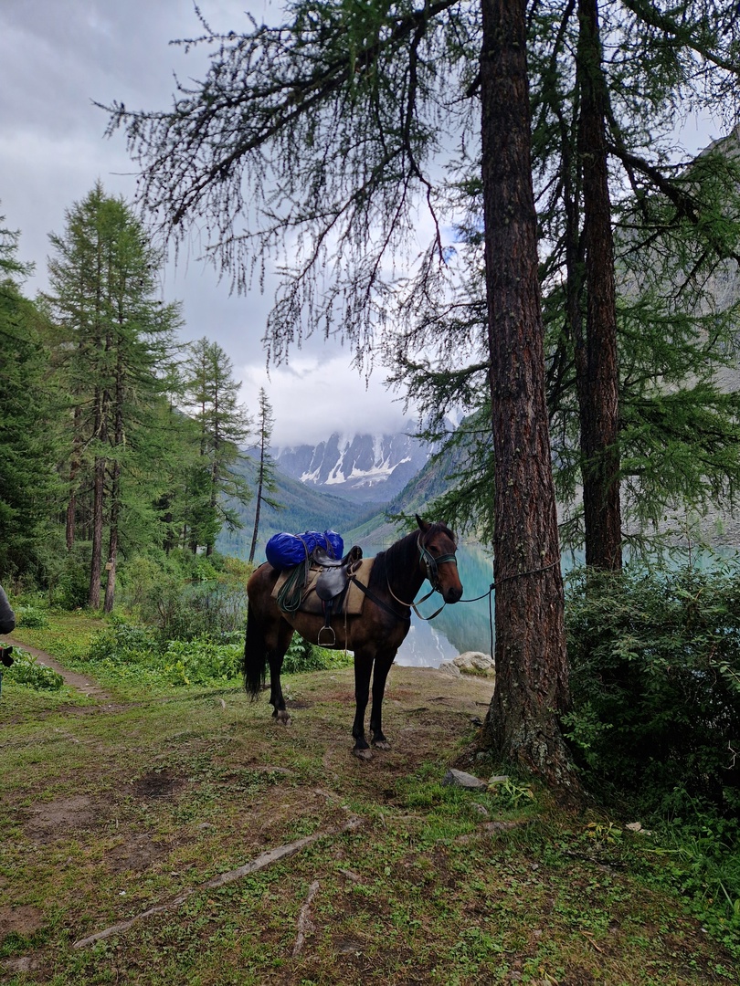 Поход по Алтаю к Шавлинским озерам (28/42)