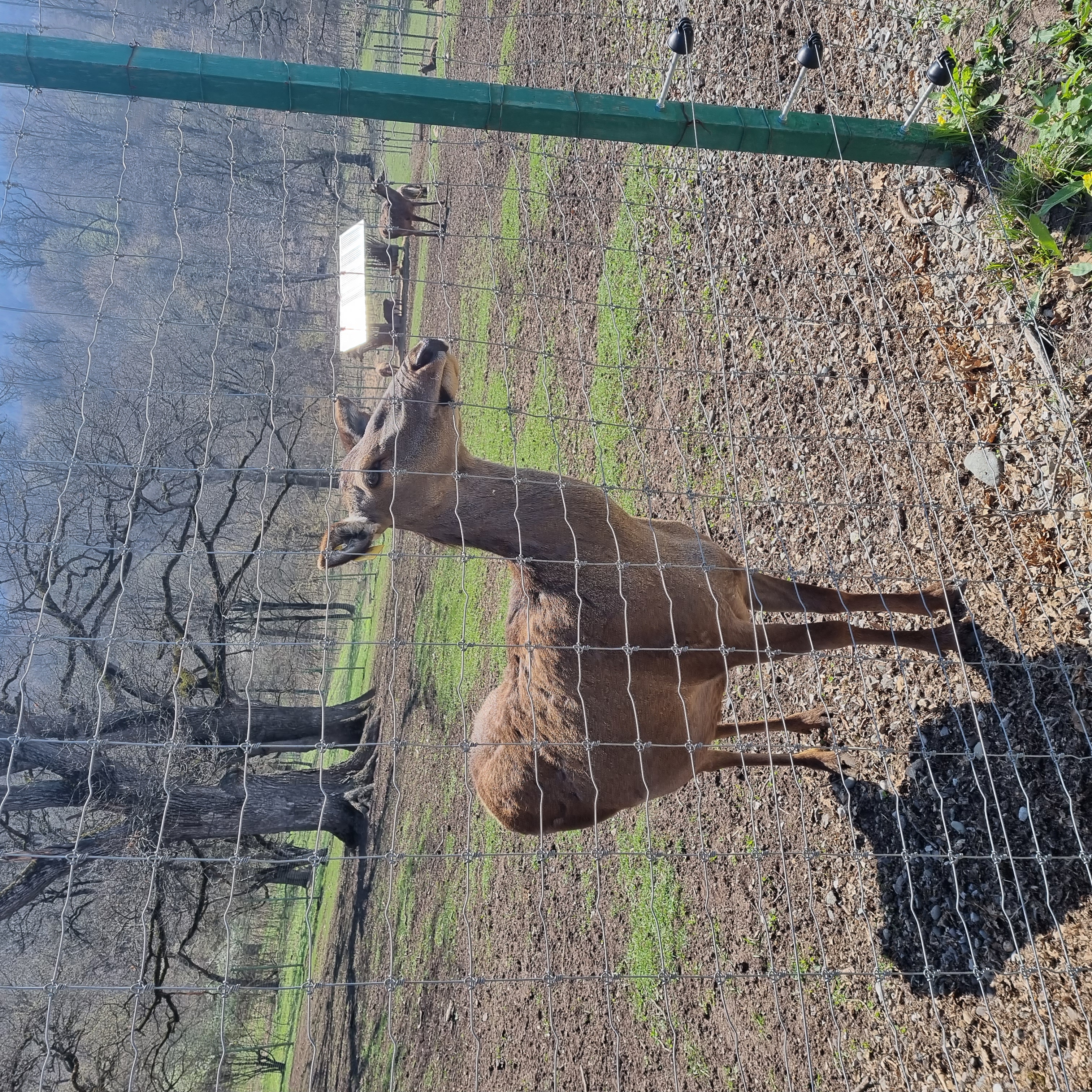 Озеро Севан и Дилижан: прогулка на кораблике (9/9)