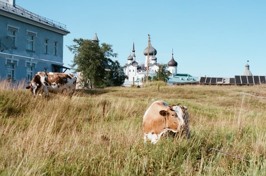 Открывая Соловецкие острова