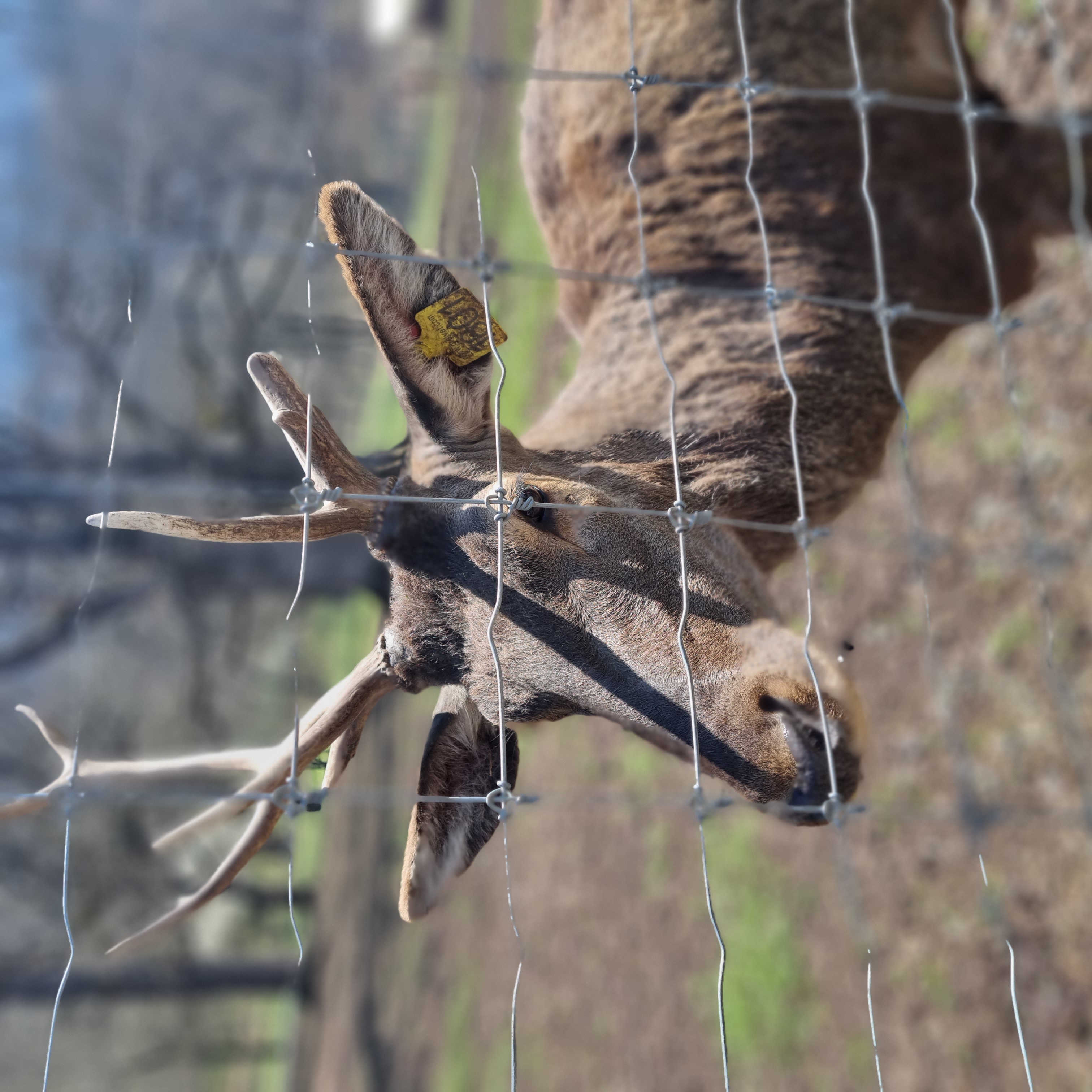 Озеро Севан и Дилижан: прогулка на кораблике (8/9)