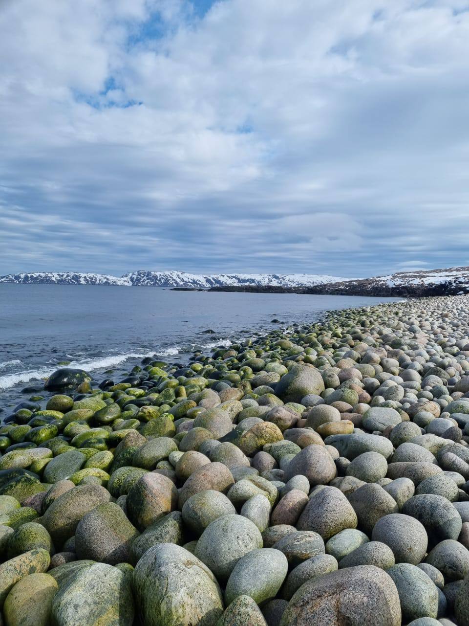 Киты зовут: Открой для себя таинственные глубины