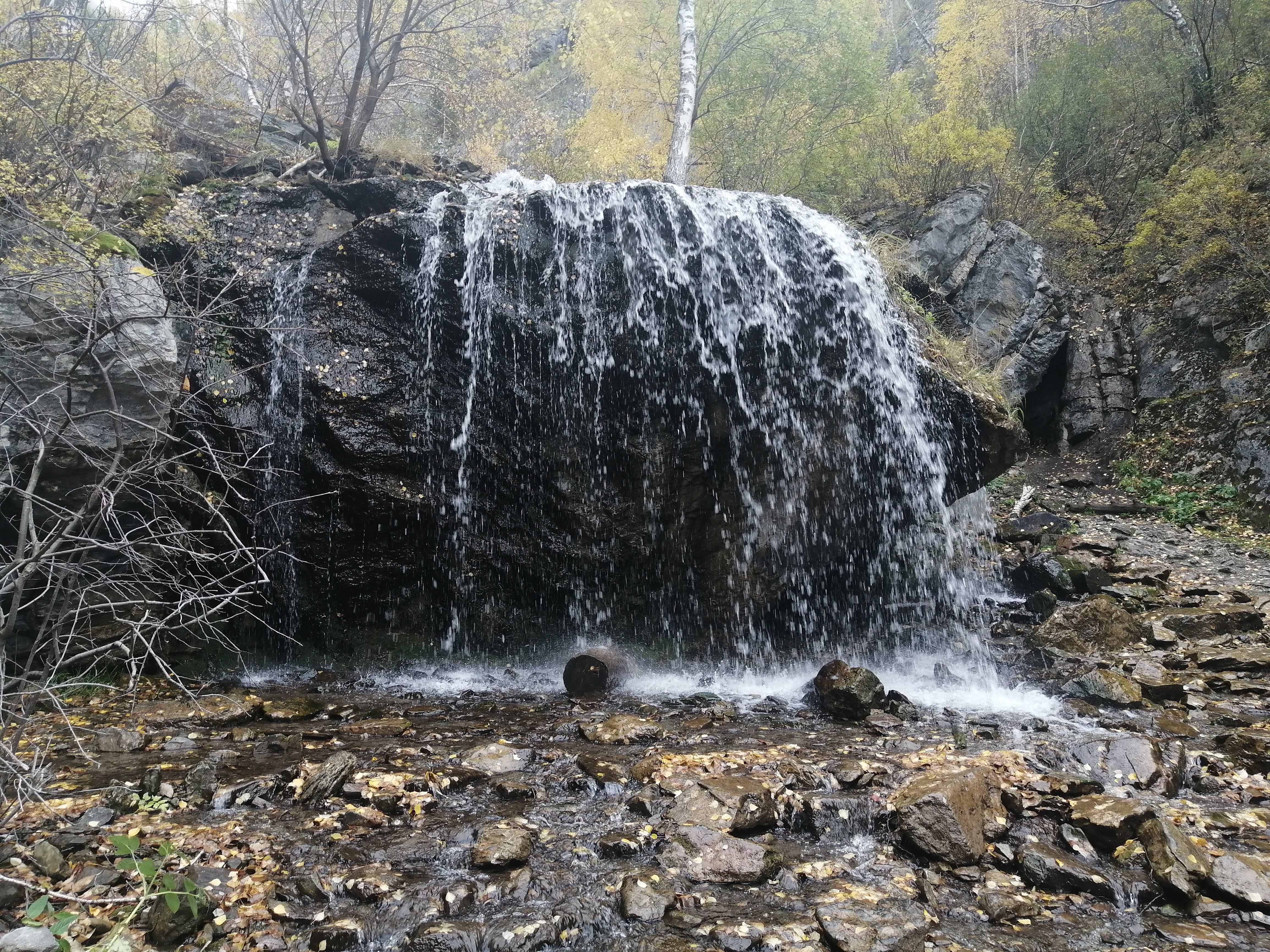По берегу Катуни в мини-группе на 4 дня (8/19)