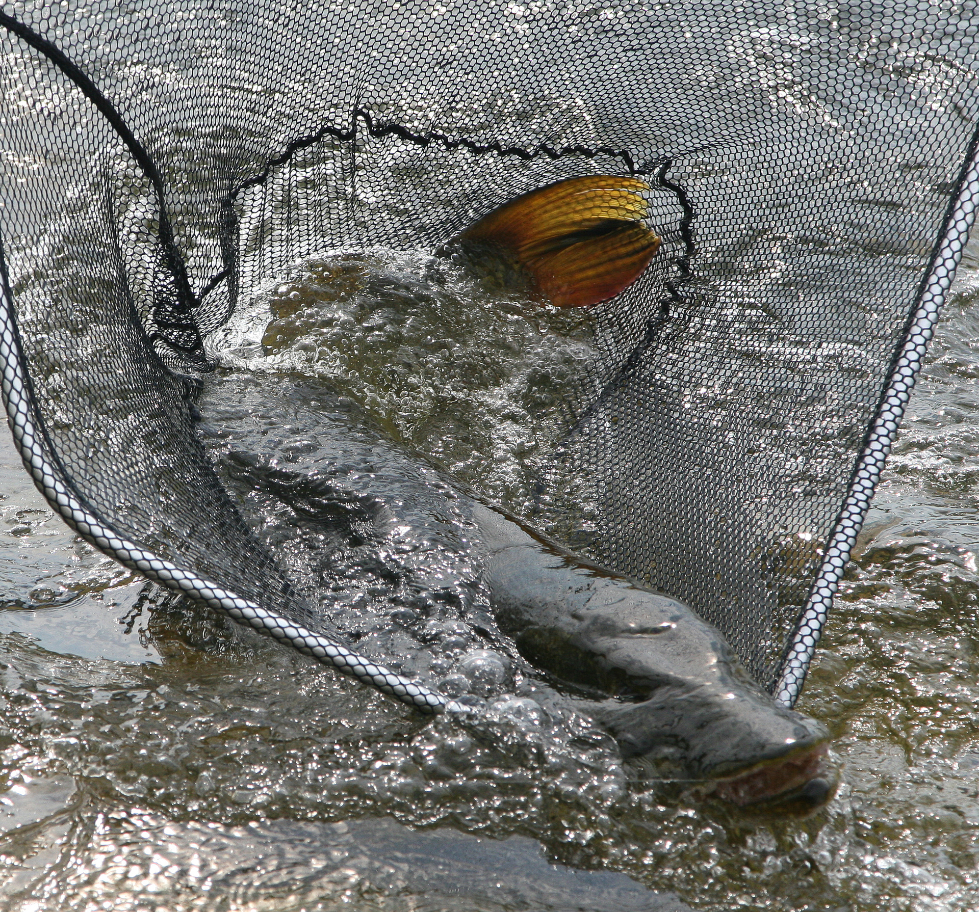 Сплав и рыбалка на реке Амга. (5/32)