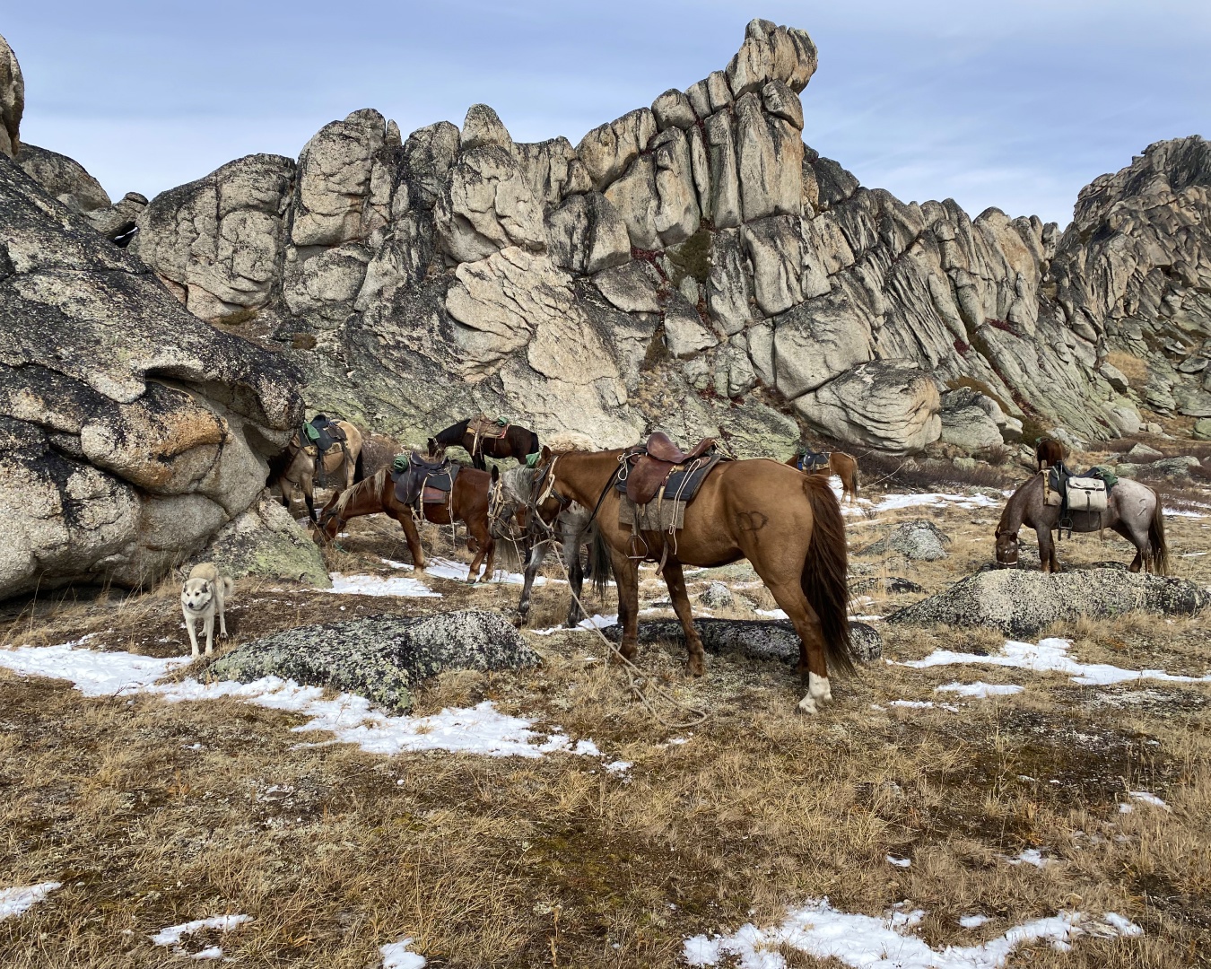 Непостижимый Аргут + Чокпорташ со стартом из Кош-Агача (25/84)