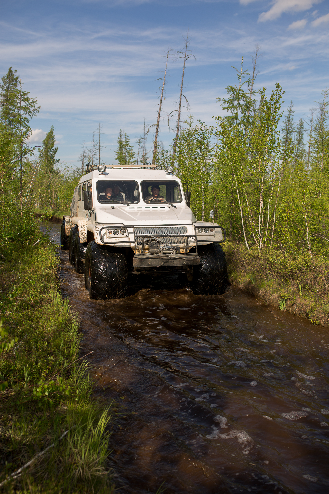 Золотые скалы реки Синяя. Синские и Ленские Столбы (6/12)