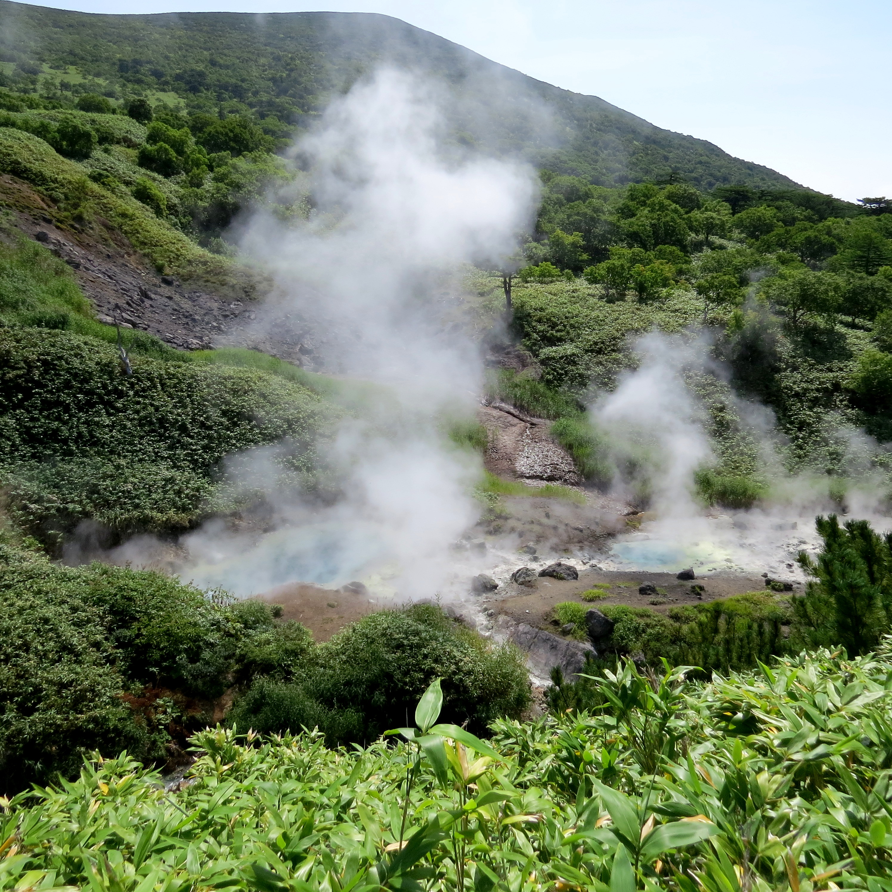 Цветущий Итуруп (24/61)