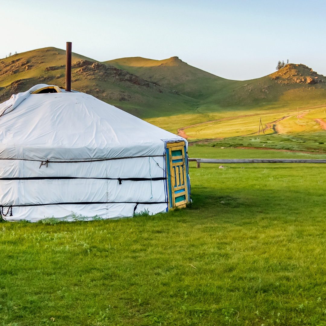 Тюльпаны Калмыкии: этнотур (35/49)