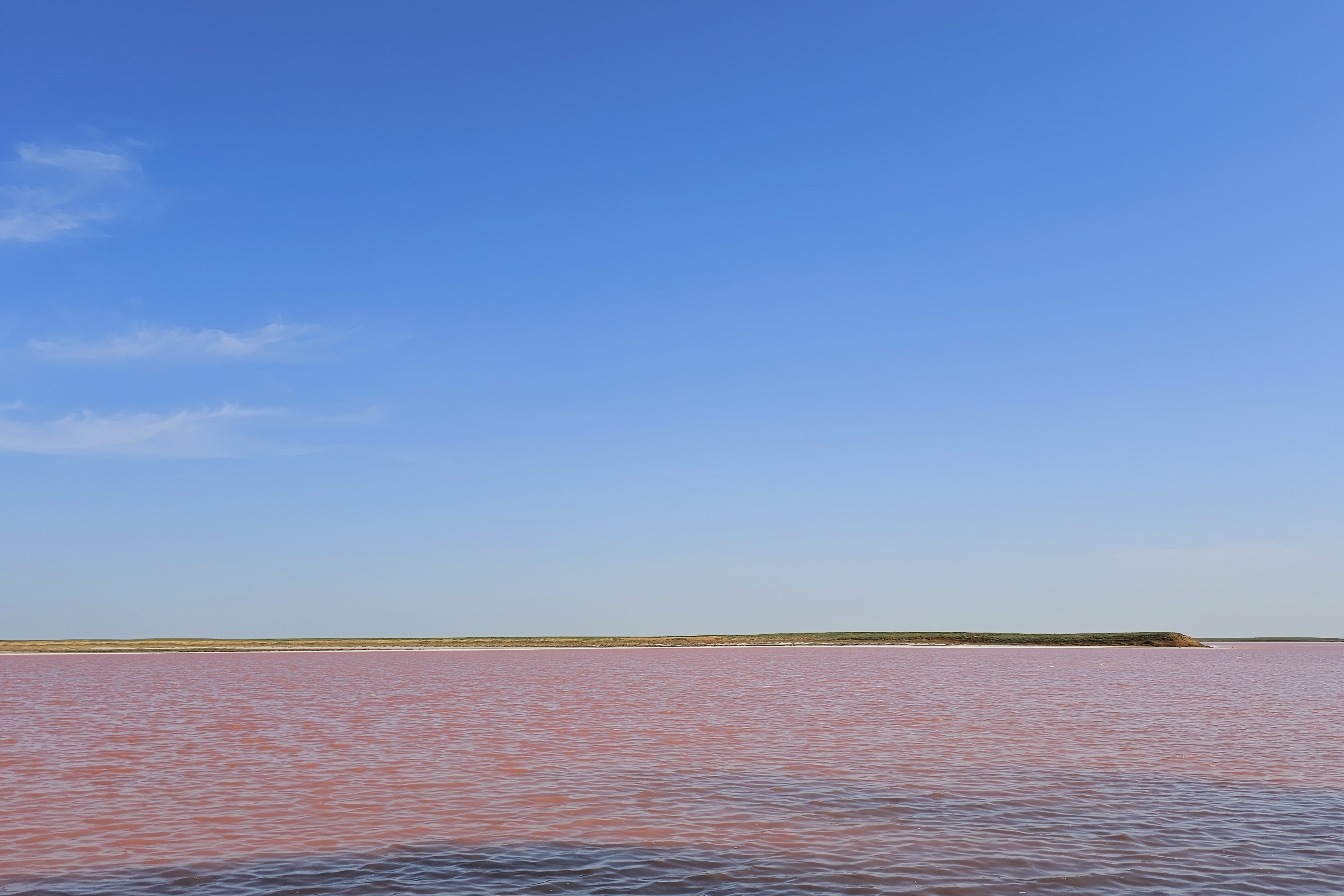 Тюльпаны Калмыкии: этнотур (26/49)