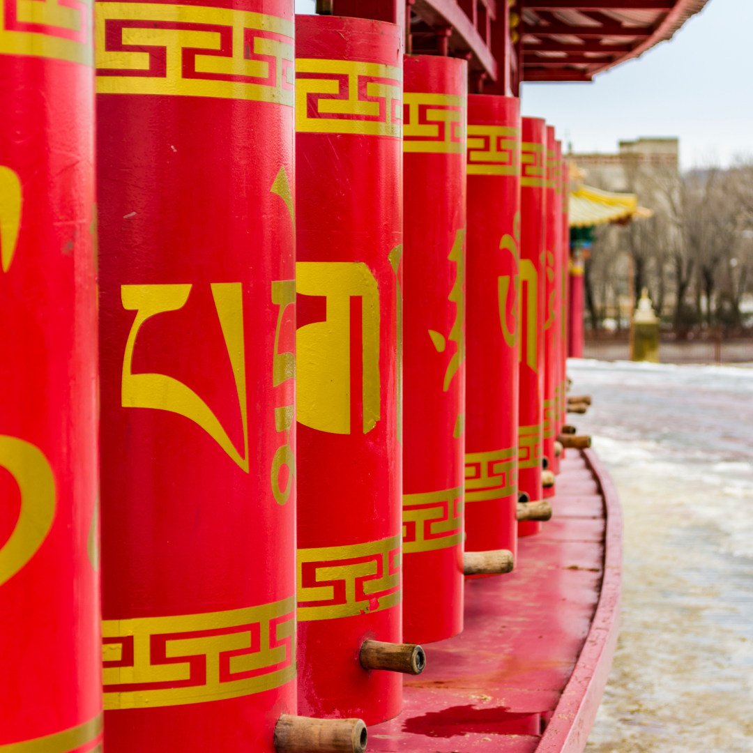 Тюльпаны Калмыкии: этнотур (32/49)