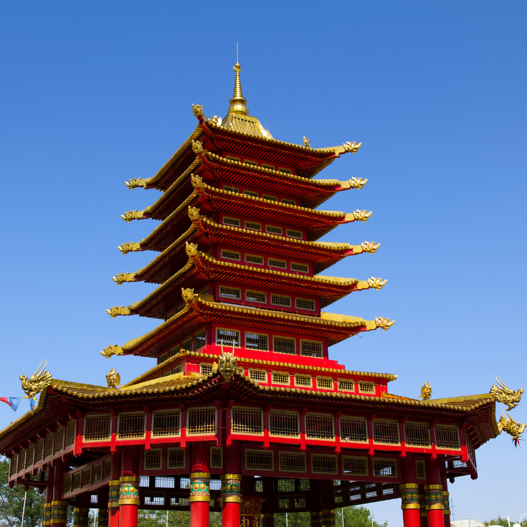 Тюльпаны Калмыкии: этнотур (4/49)