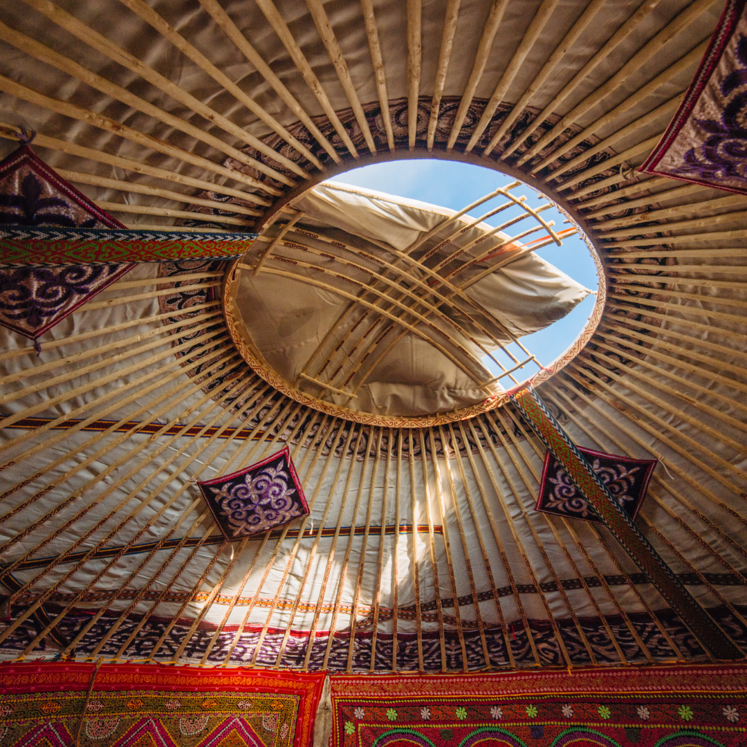 Тюльпаны Калмыкии: этнотур (38/49)