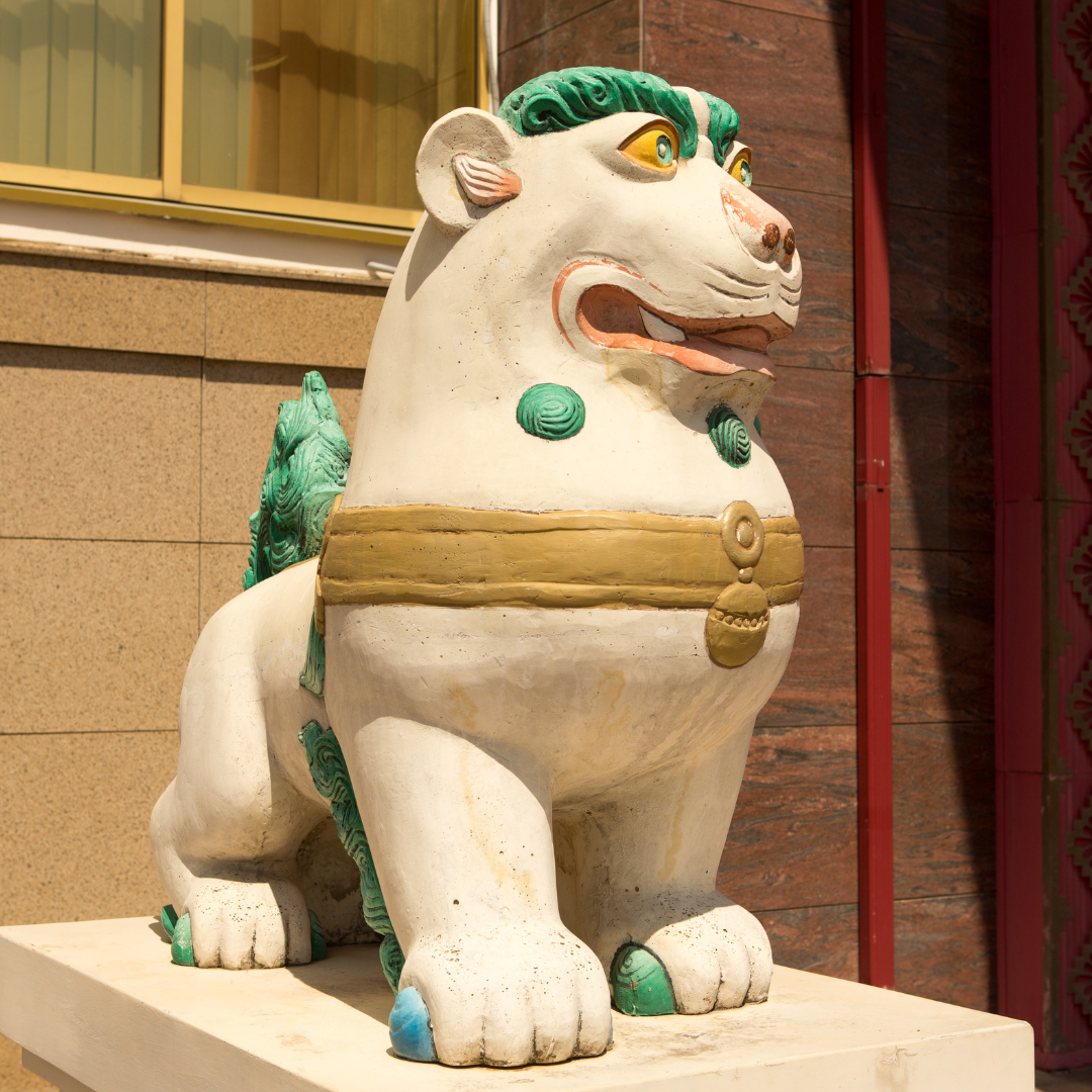 Тюльпаны Калмыкии: этнотур (33/49)