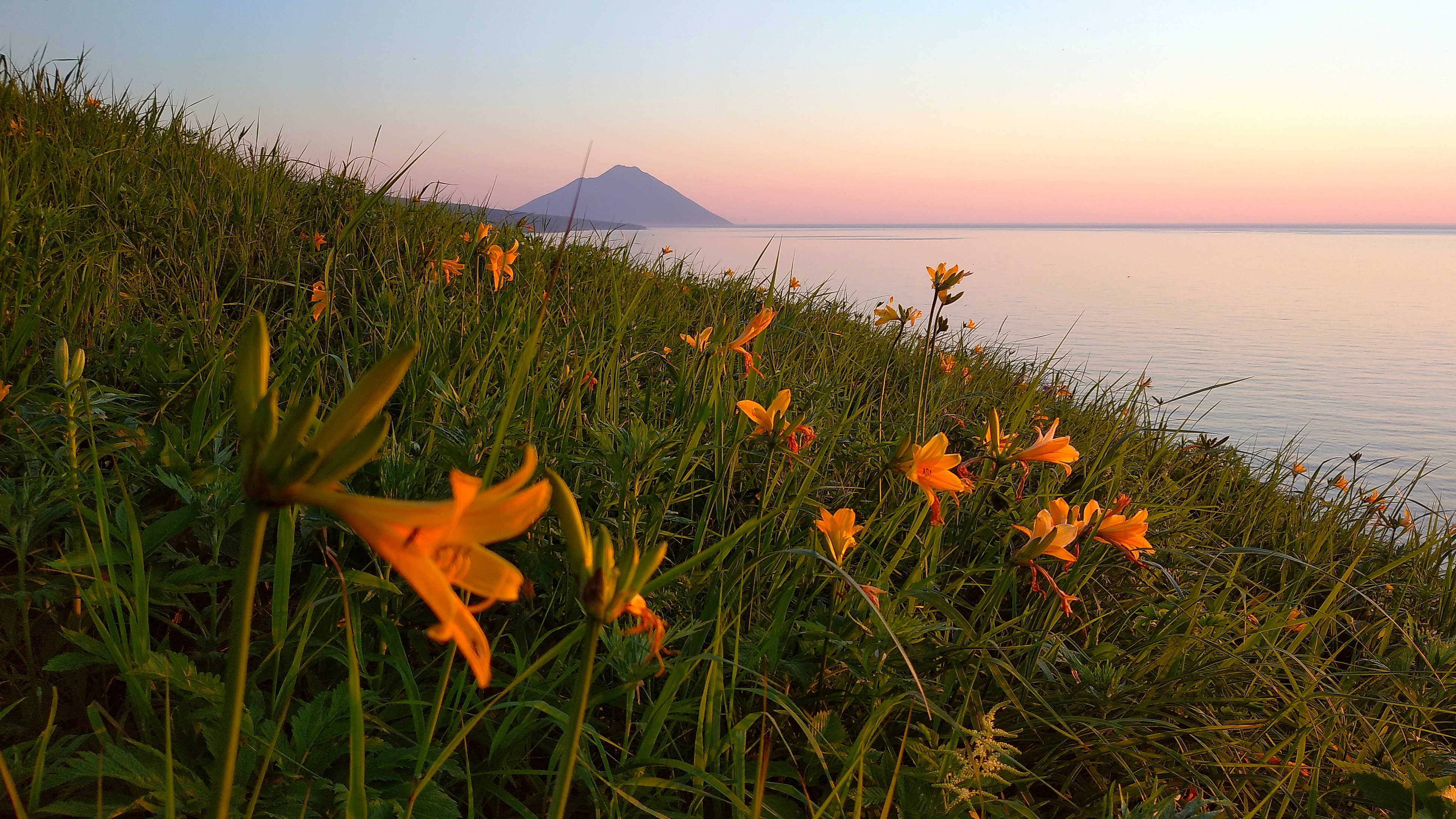 Цветущий Итуруп (31/61)