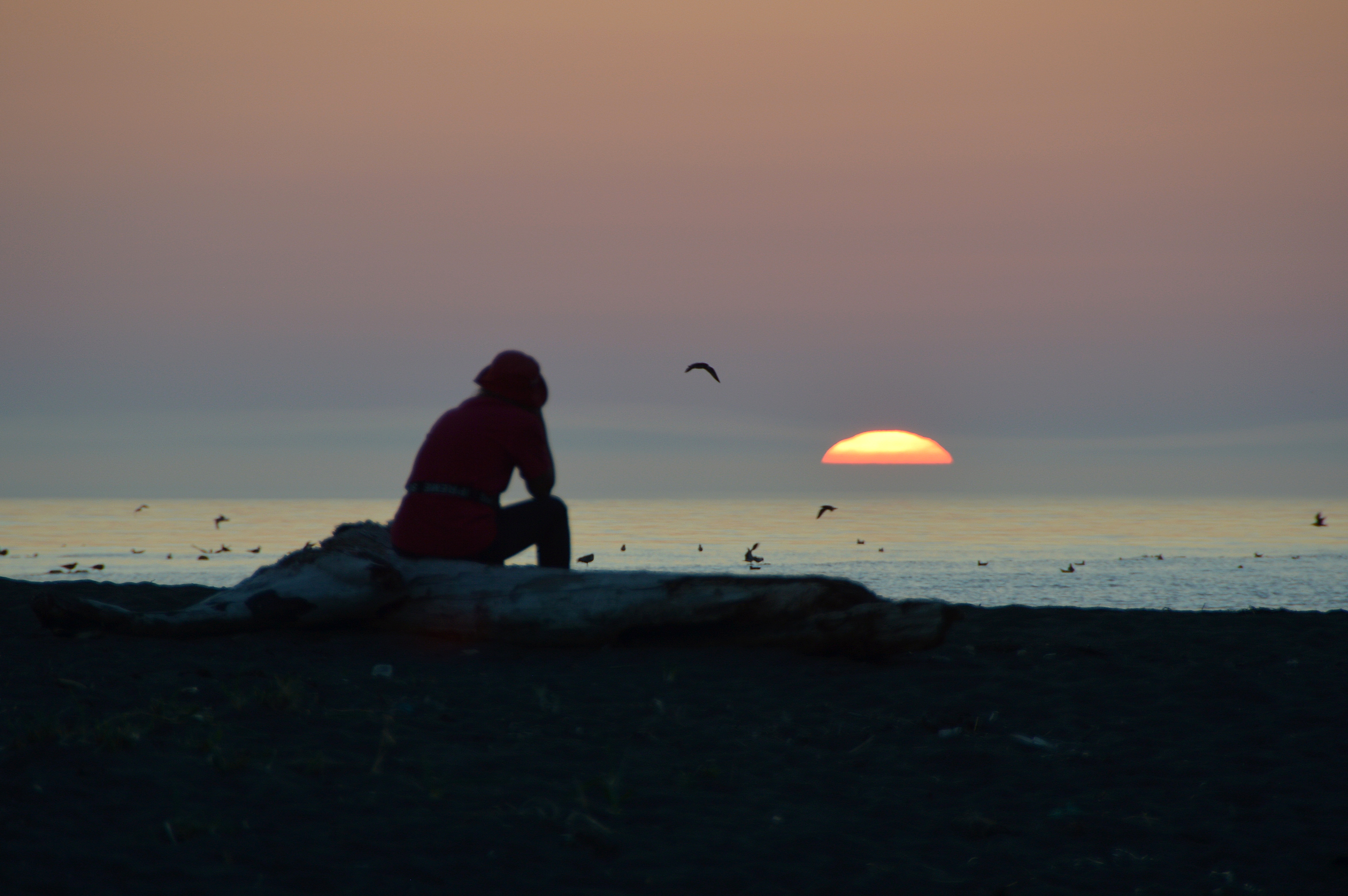 Цветущий Итуруп (29/61)