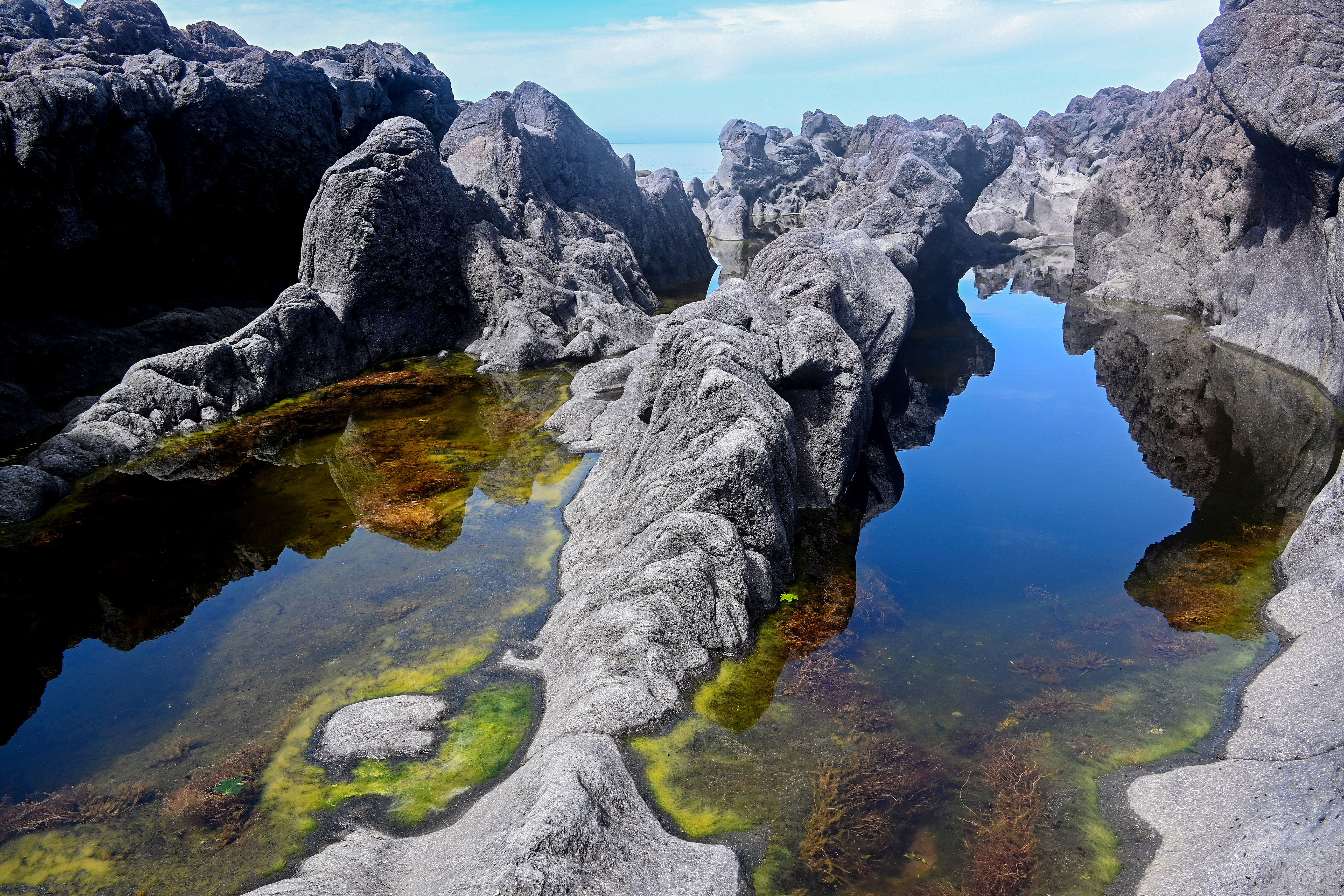 Цветущий Итуруп (20/61)