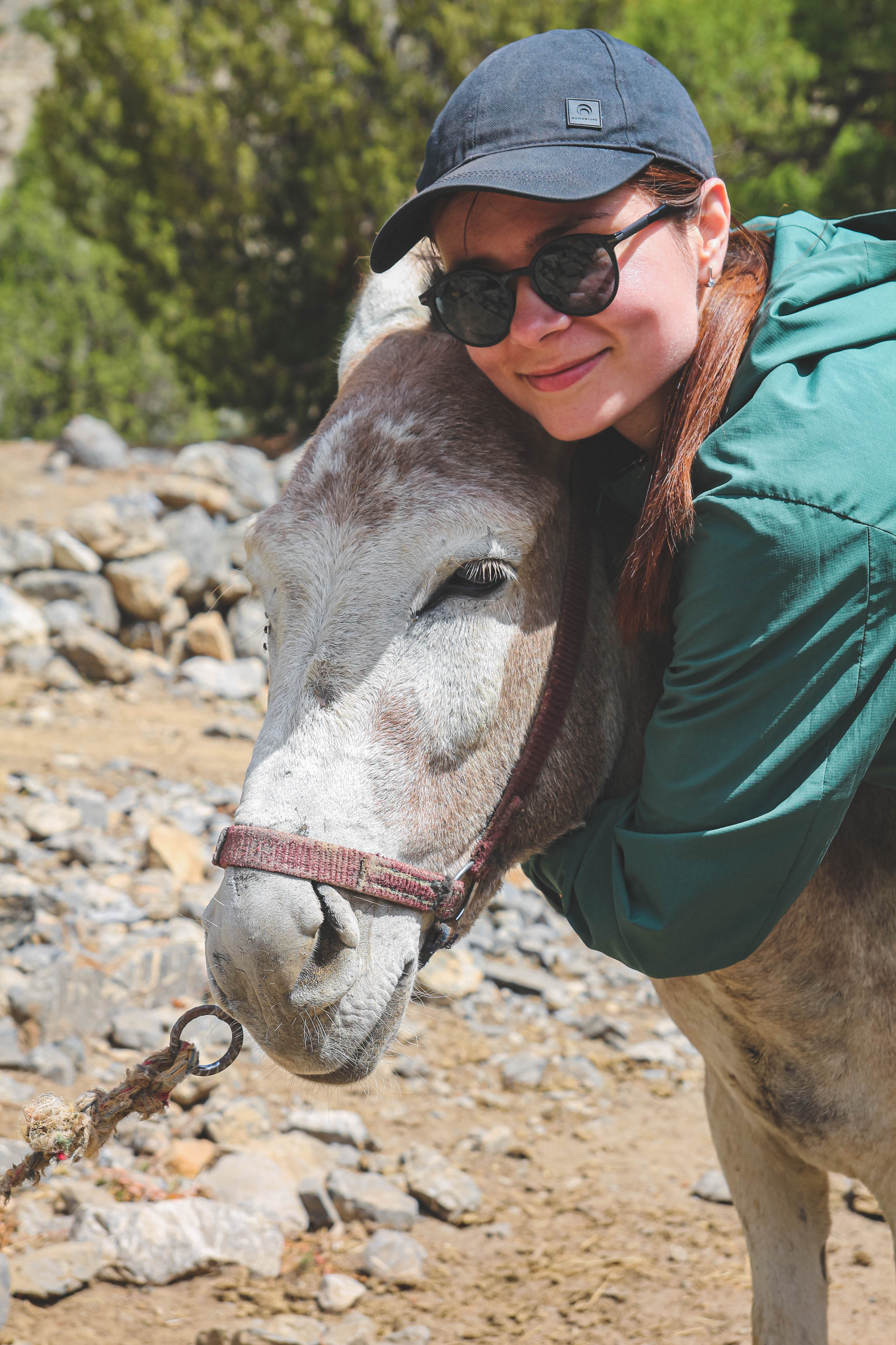 Фанские горы и Самарканд (30/45)