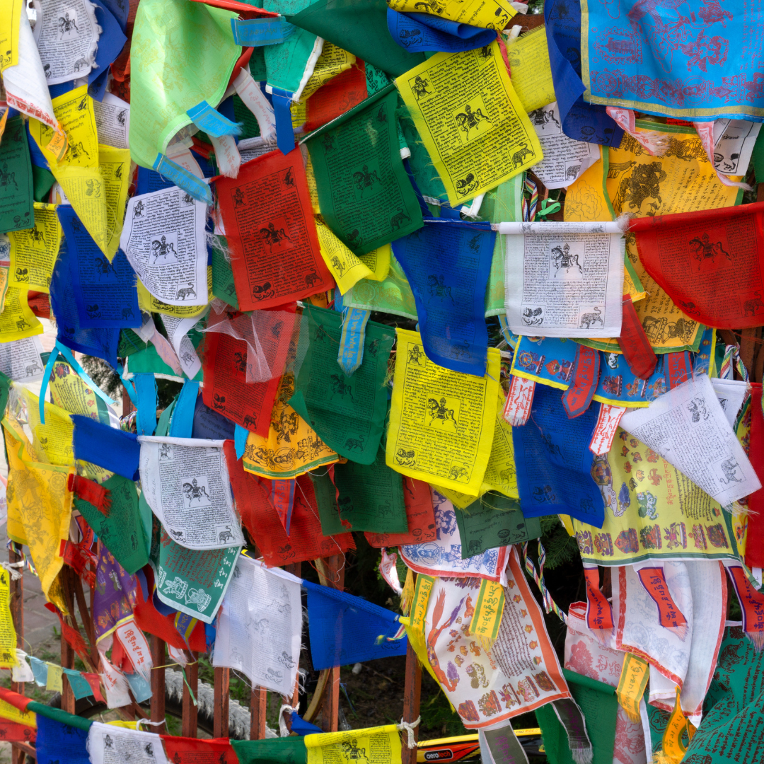 Тюльпаны Калмыкии: этнотур (36/49)