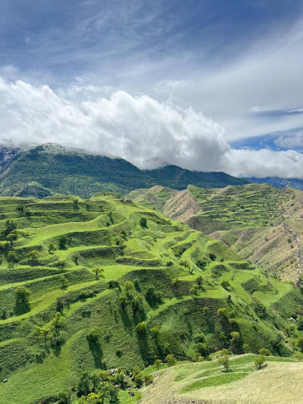 Яркое погружение в Дагестан: лезгинка, кухня, горы- пятидневный тур (16/36)