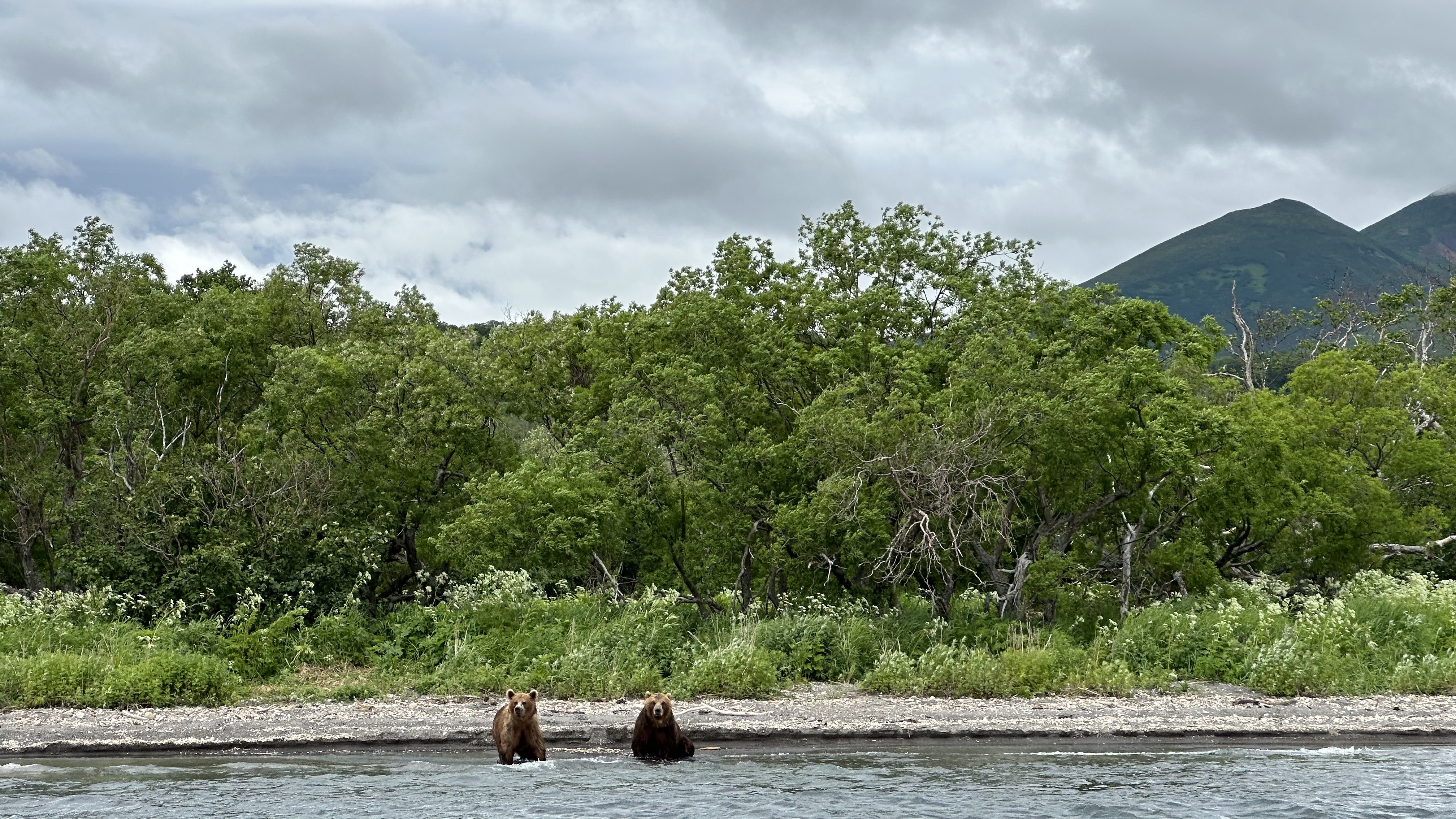 Максимум Камчатка. Комфорт Плюс (11/34)