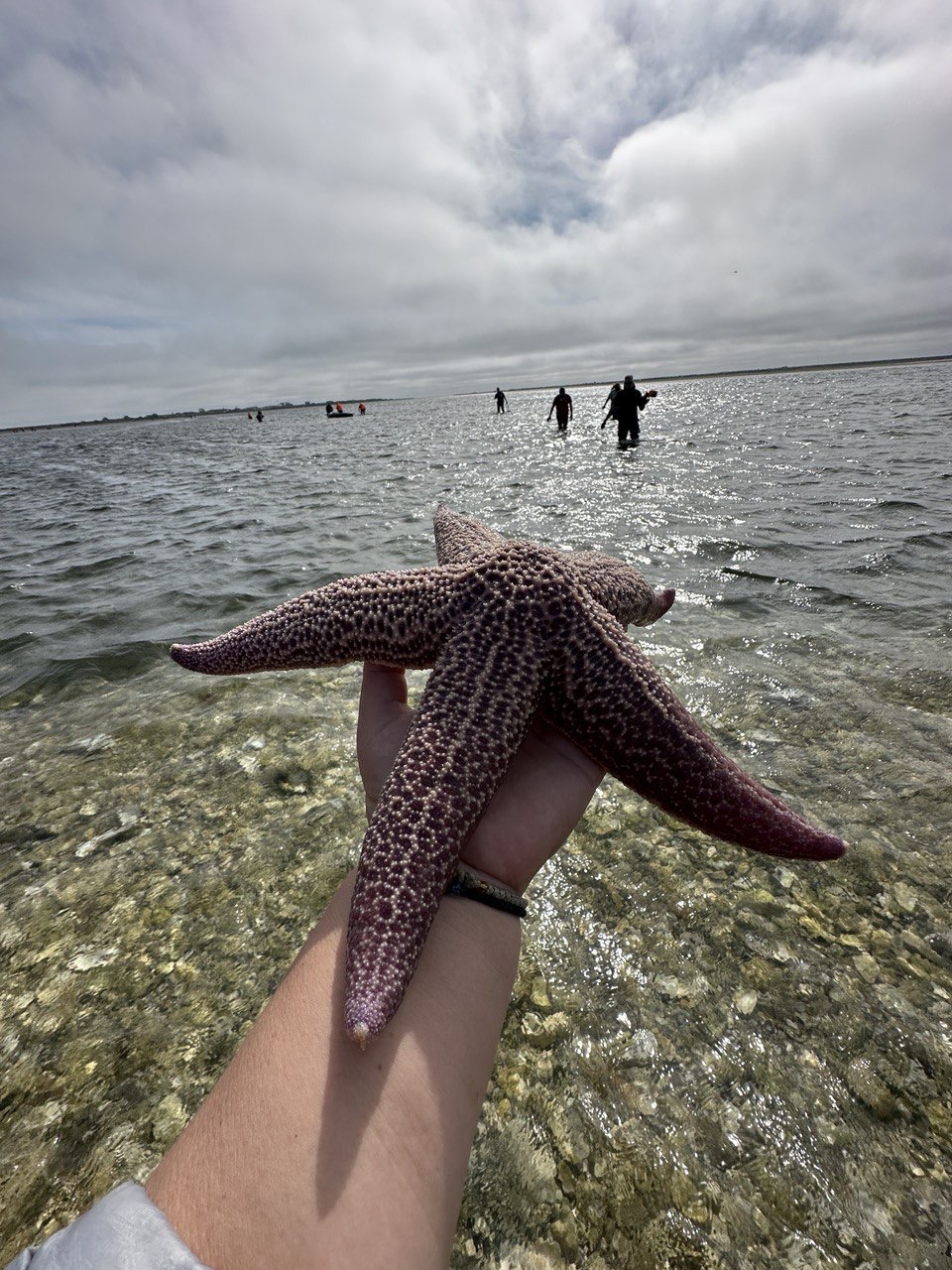 Сахалин и Итуруп. Закрытый тур консьерж-сервисом (5/28)
