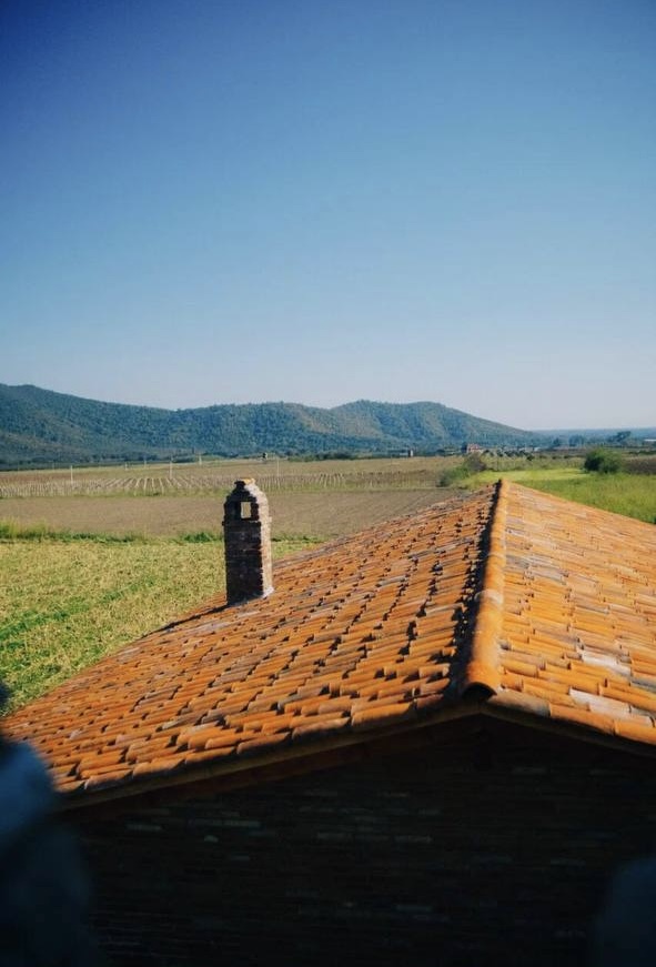 Путешествие в Грузию: Тбилиси, Казбек, Кахетия (3/34)