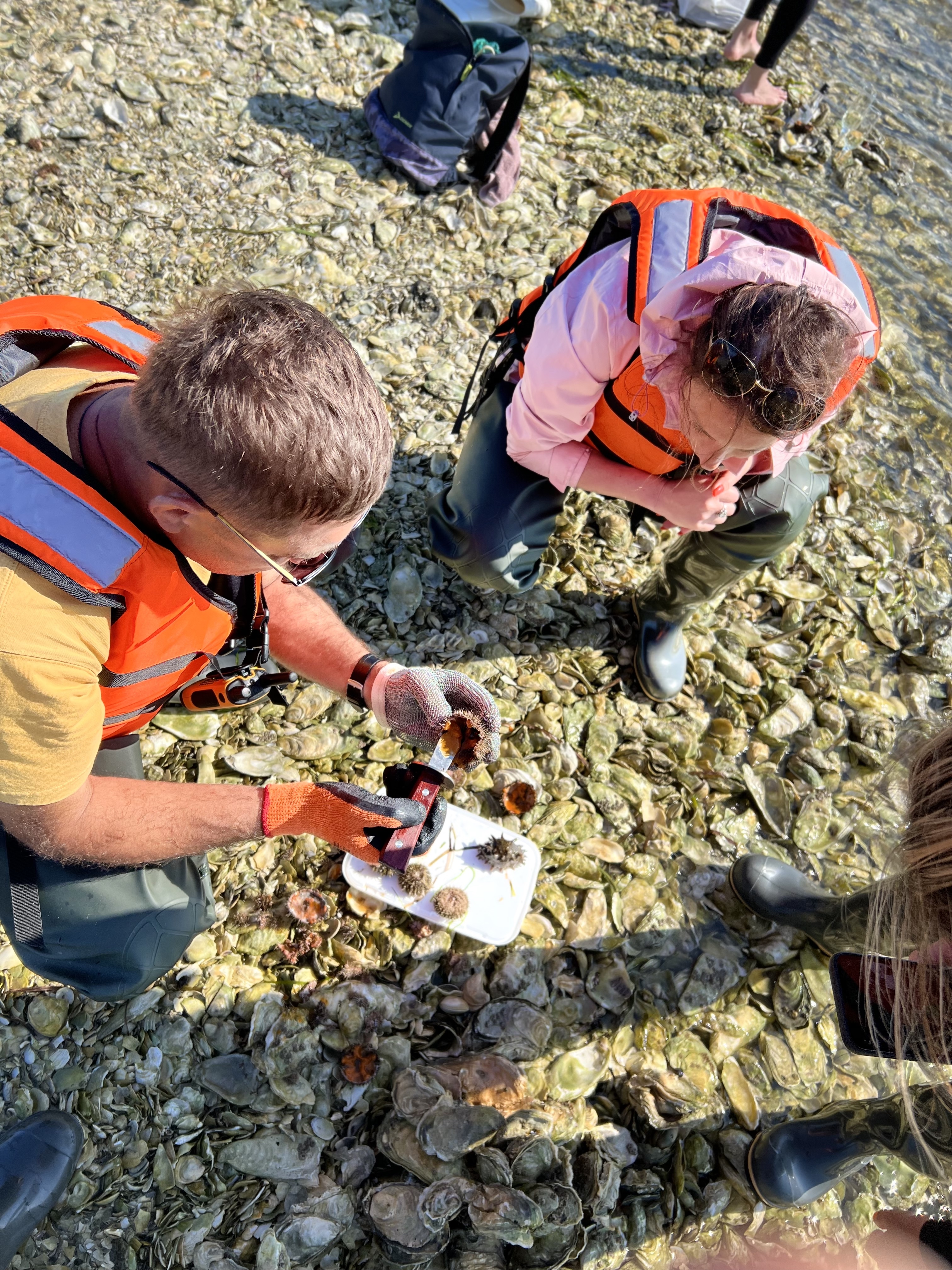 Сахалин и Итуруп. Закрытый тур консьерж-сервисом (8/28)