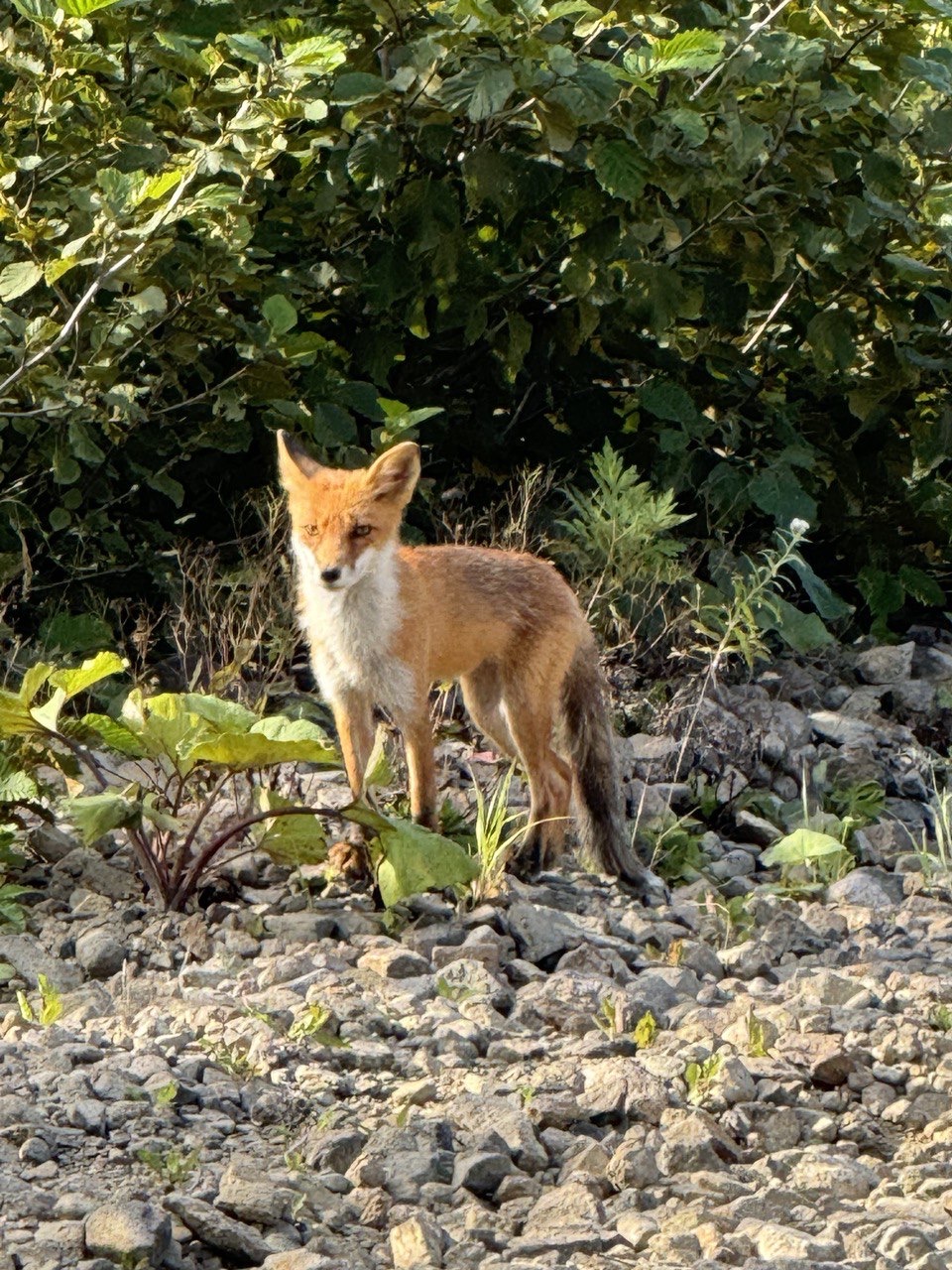 Сахалин и Итуруп. Закрытый тур консьерж-сервисом (12/28)