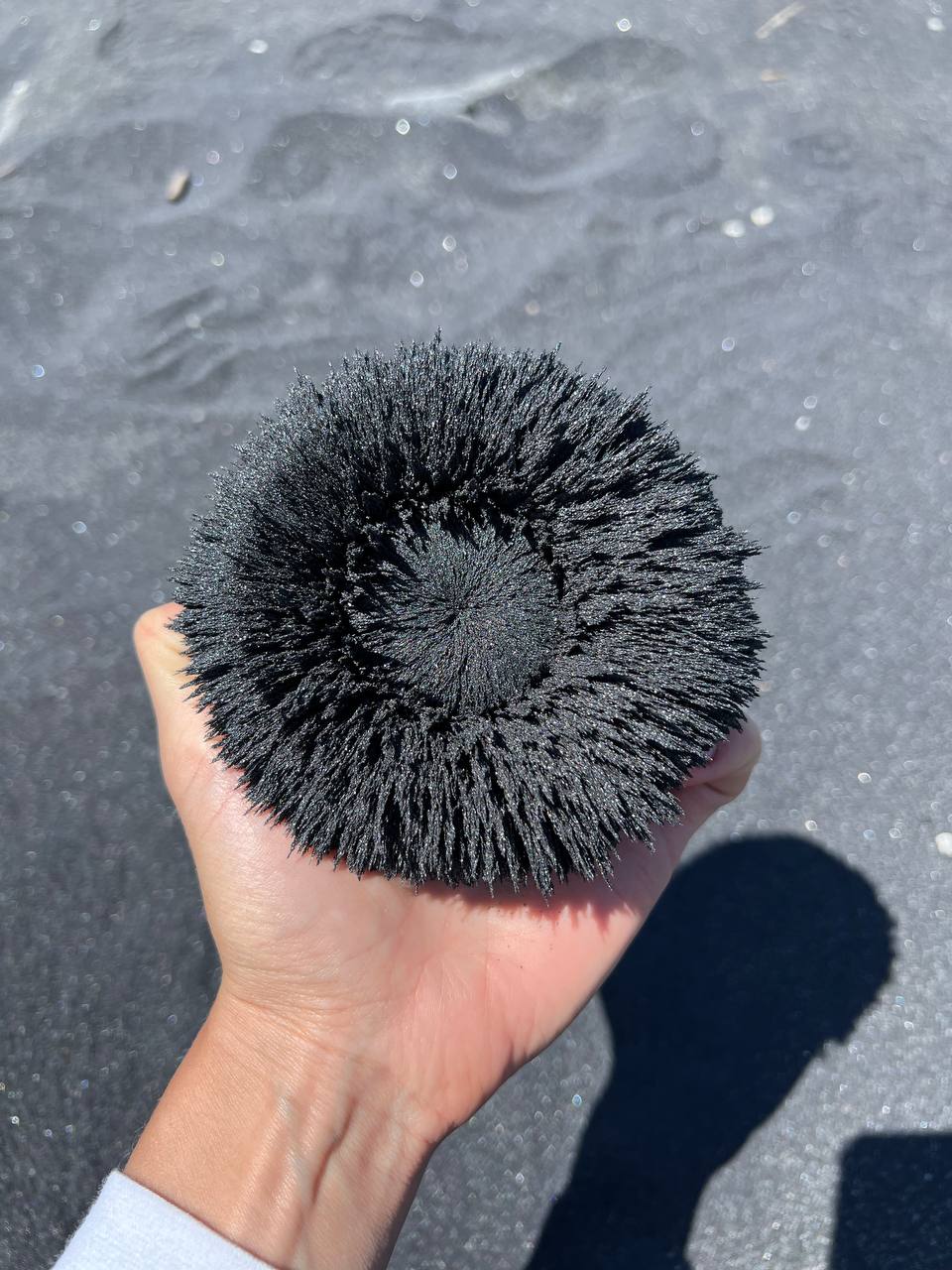 Сахалин и Итуруп. Закрытый тур консьерж-сервисом (7/28)