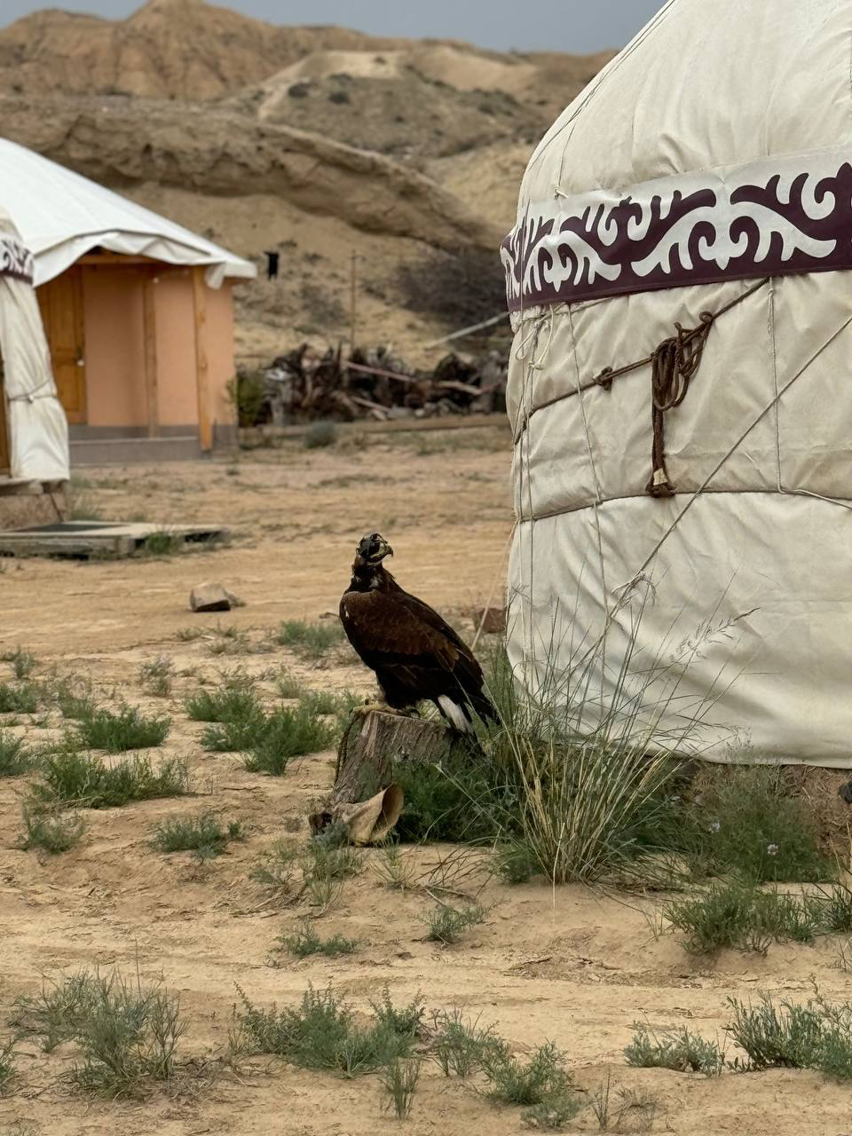 Кыргызстан. Экспедиция Иссык-куль и горные озера.  Йога и путешествие (10/47)