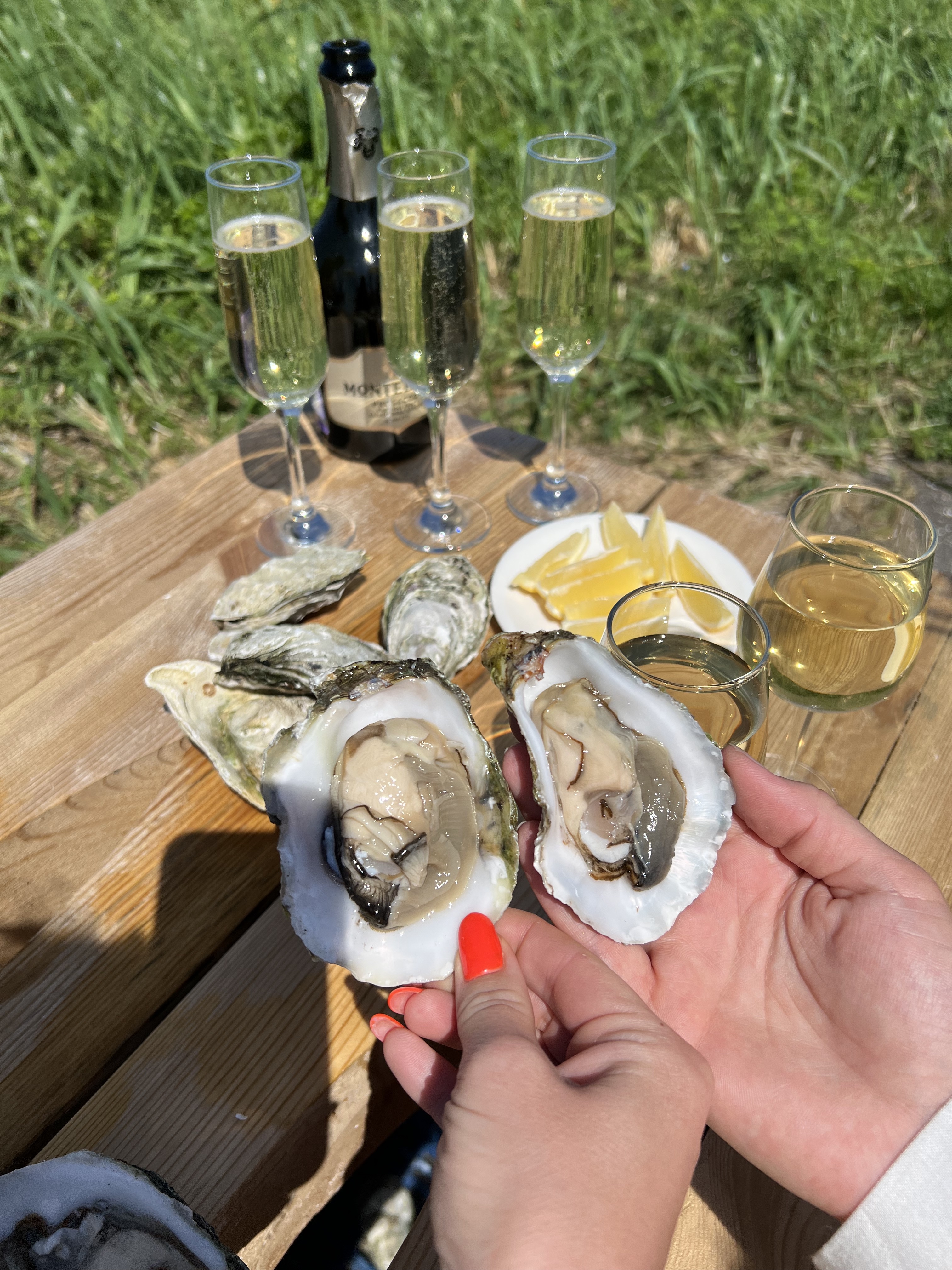 Сахалин и Итуруп. Закрытый тур консьерж-сервисом (16/28)