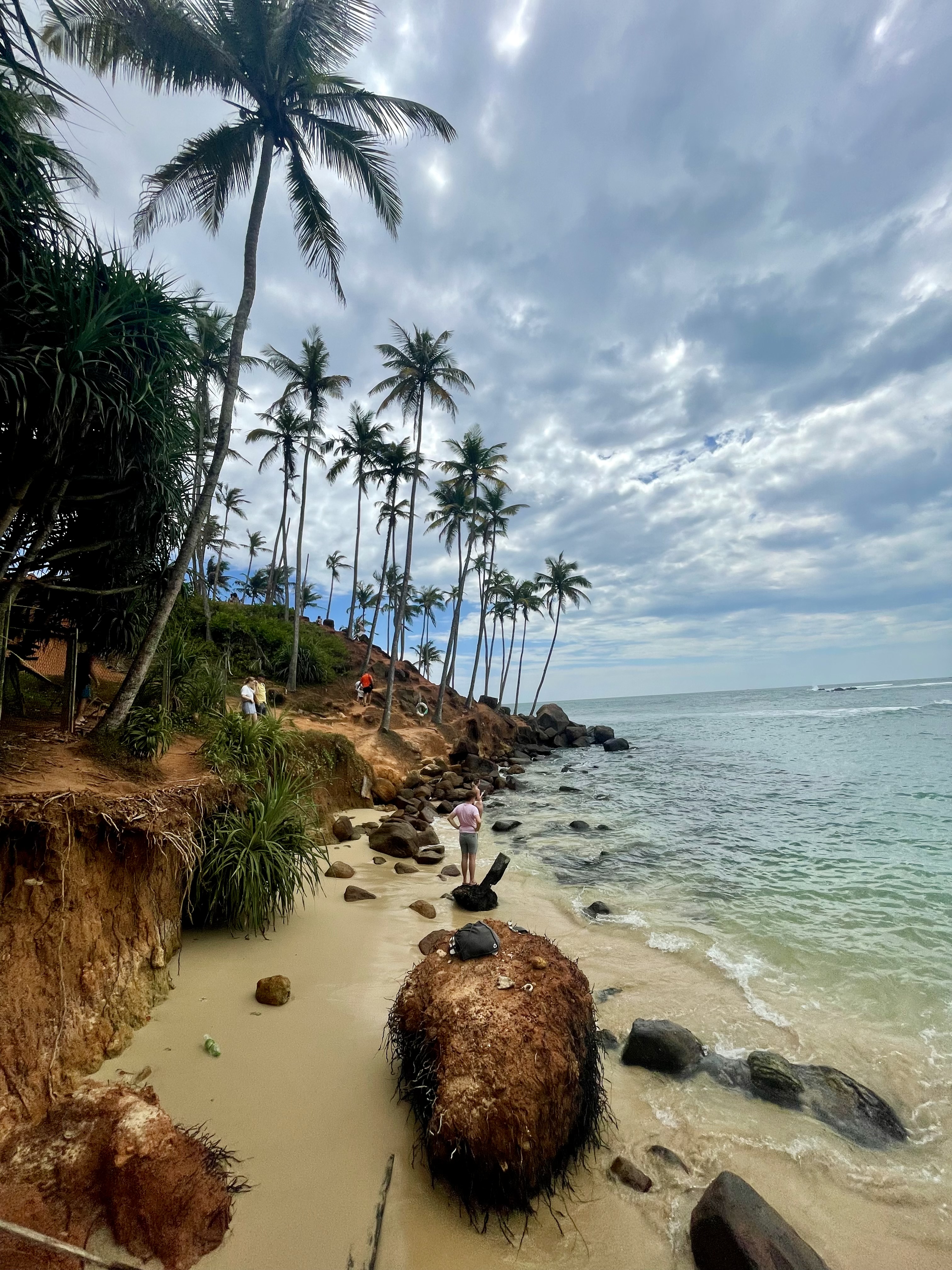 Прощай, зима! Погнали на райский остров Шри-Ланка (19/66)