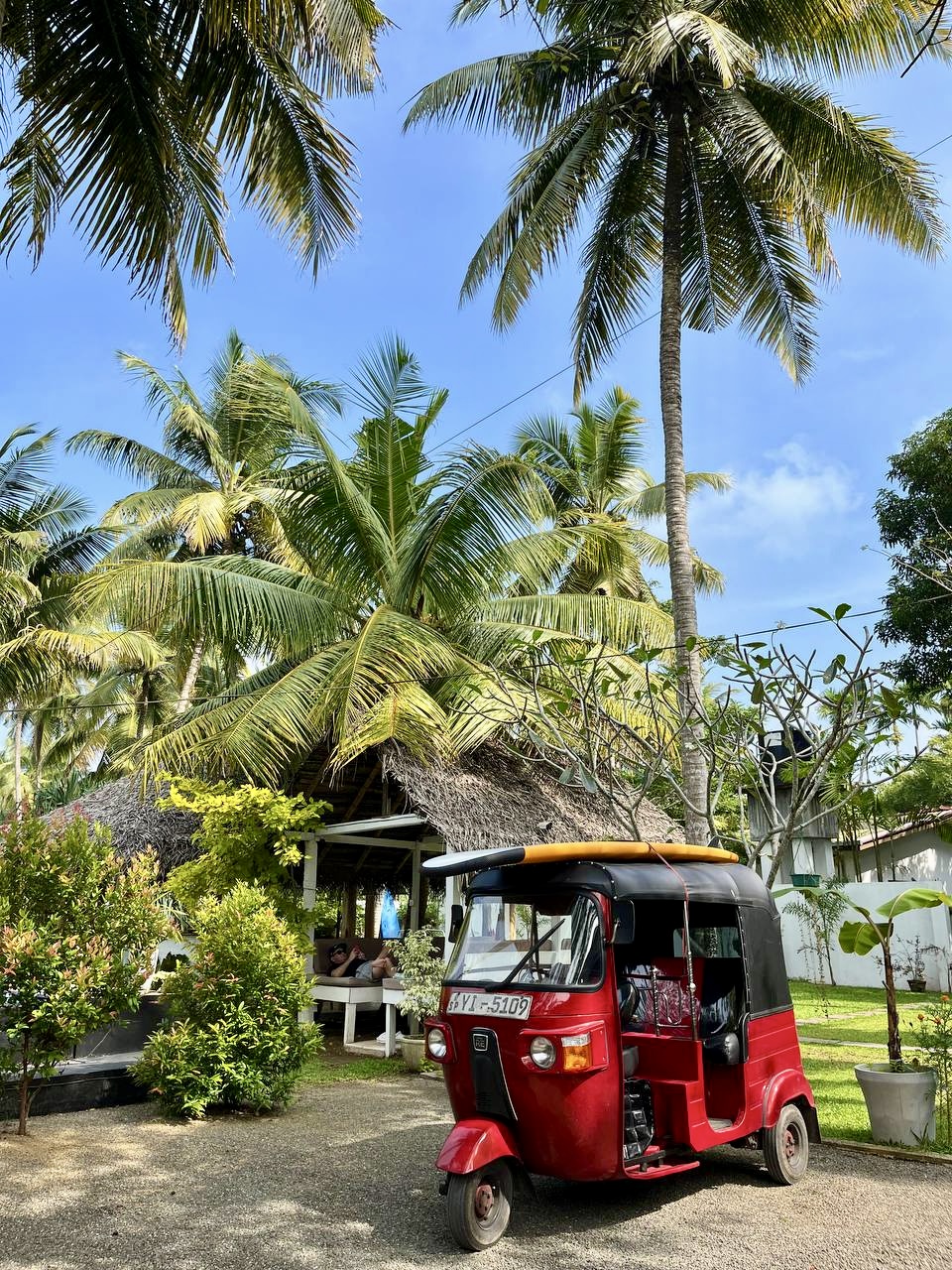 Шри-Ланка на максимум: от джунглей до океанских волн (11/100)