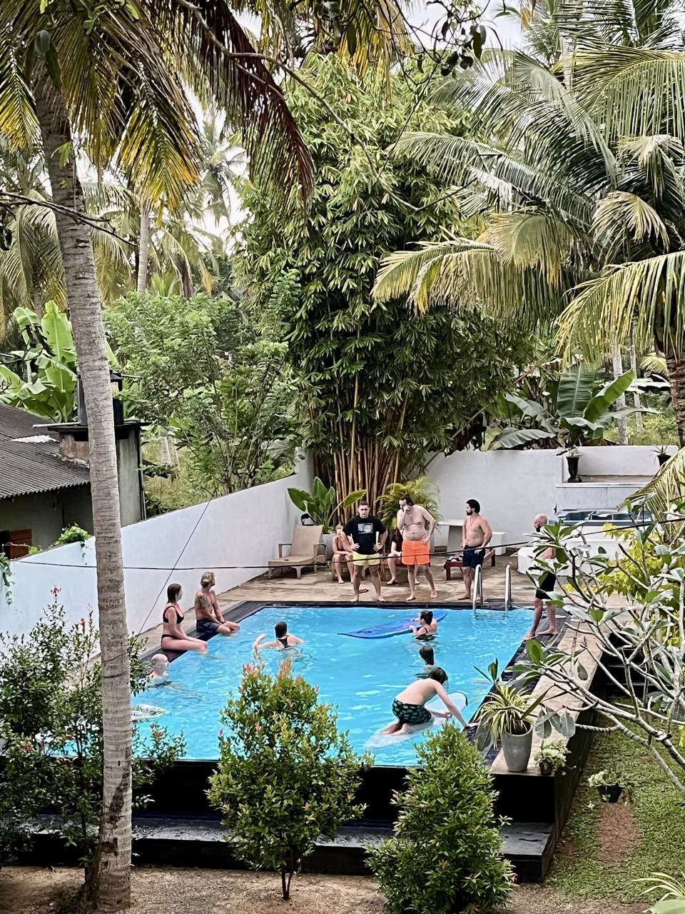 Шри-Ланка на максимум: от джунглей до океанских волн (31/100)