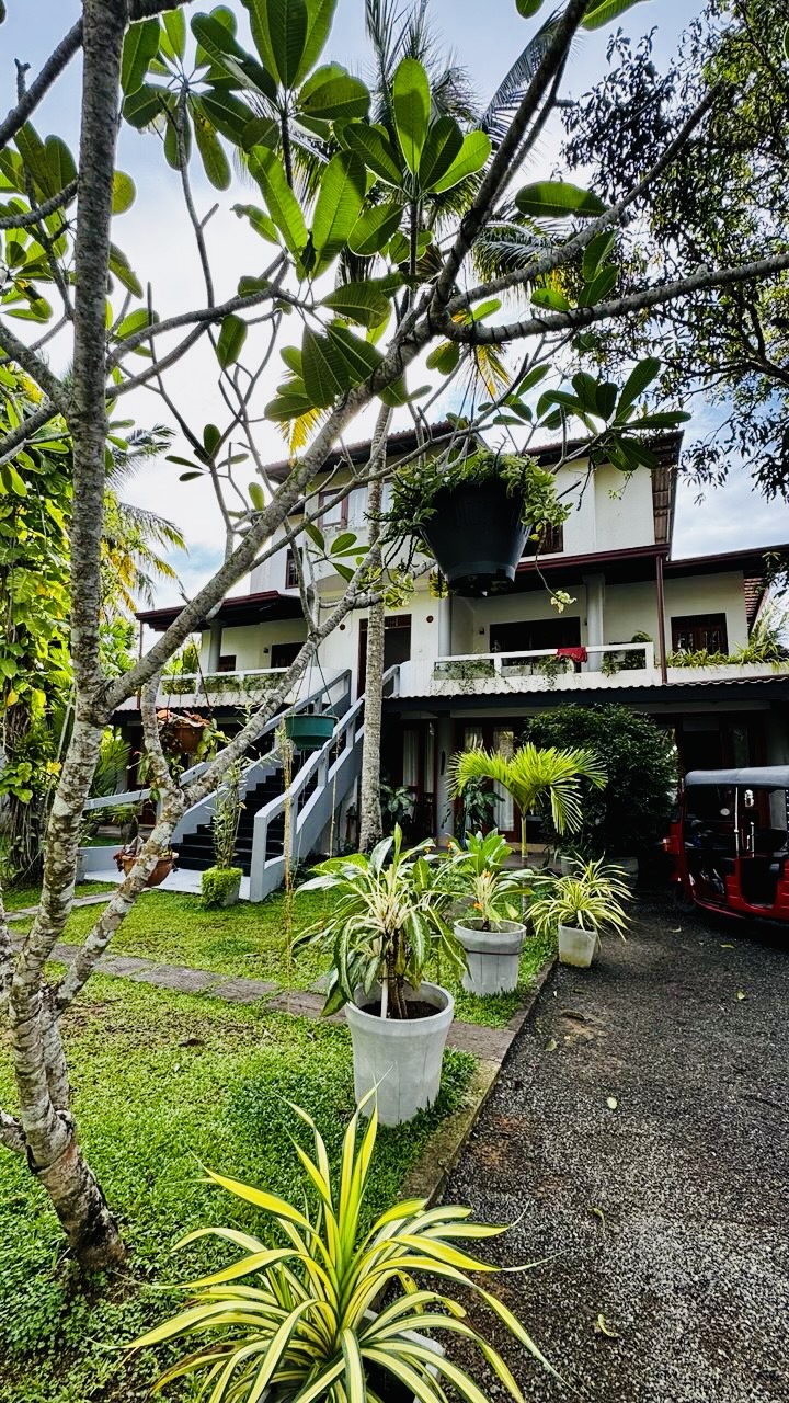 Шри-Ланка на максимум: от джунглей до океанских волн (10/100)