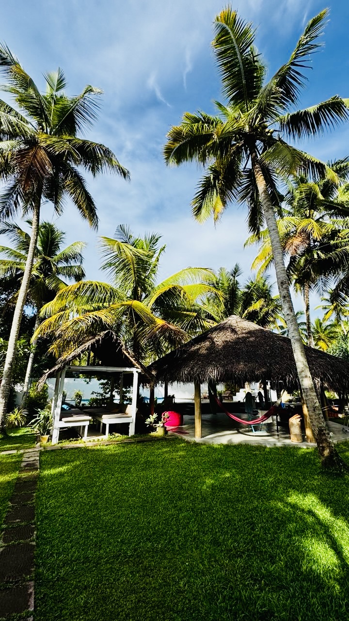 Шри-Ланка на максимум: от джунглей до океанских волн (12/100)