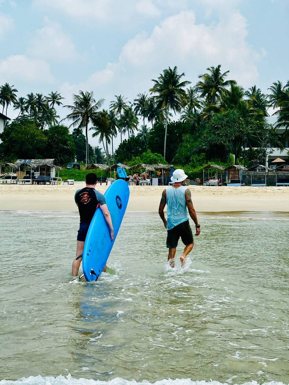 Шри-Ланка на максимум: от джунглей до океанских волн (35/100)