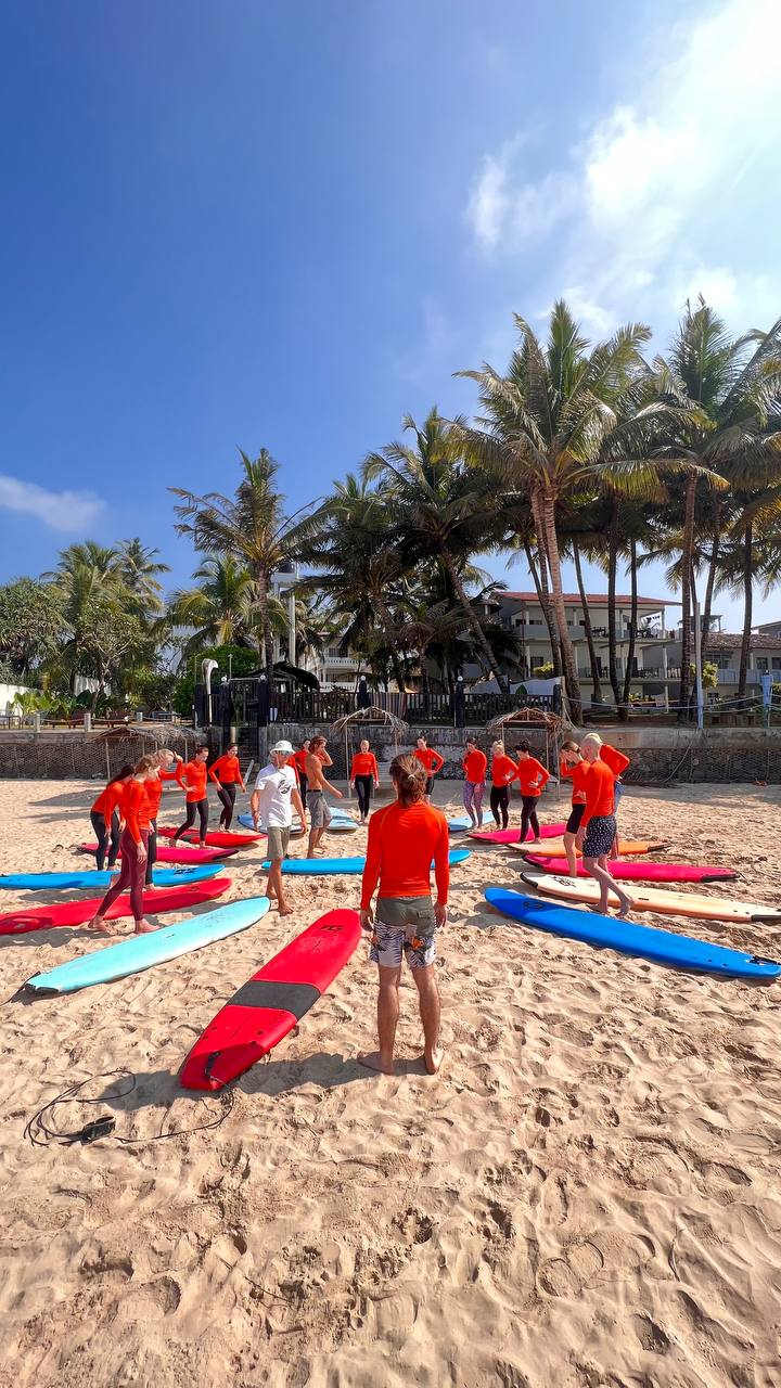 Шри-Ланка на максимум: от джунглей до океанских волн (22/100)