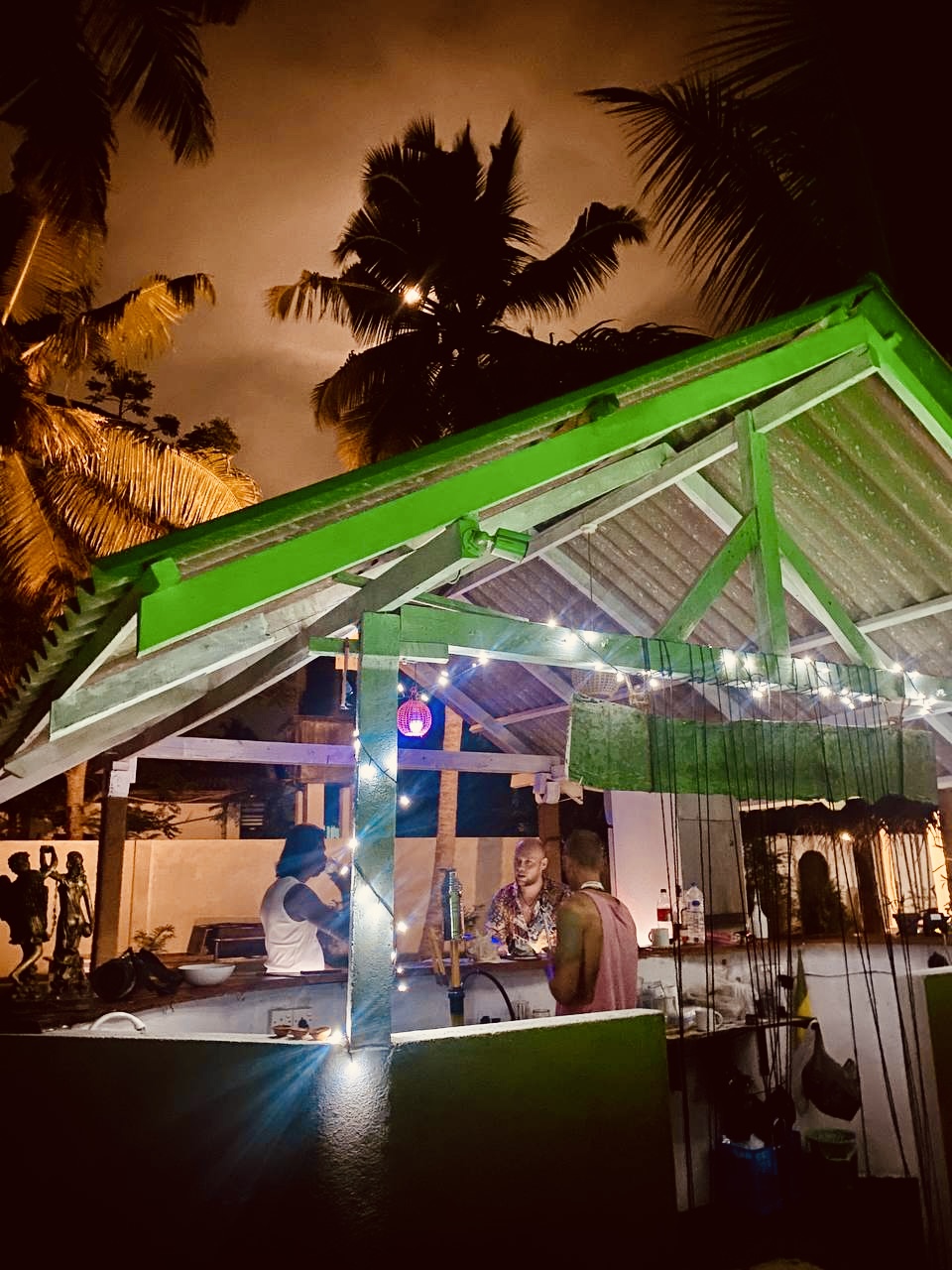 Шри-Ланка на максимум: от джунглей до океанских волн (4/100)