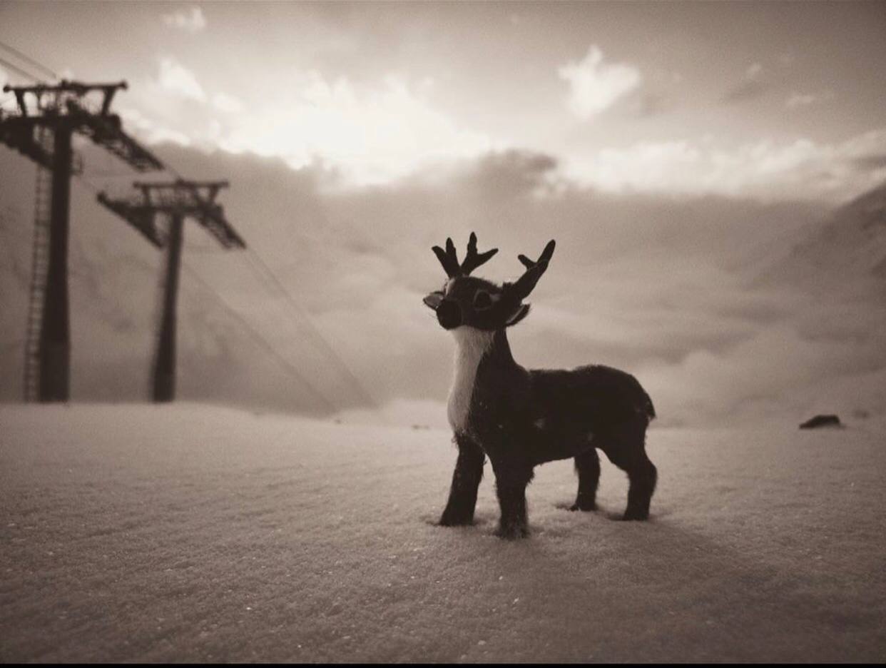 Джип-тур в Домбай (10/10)