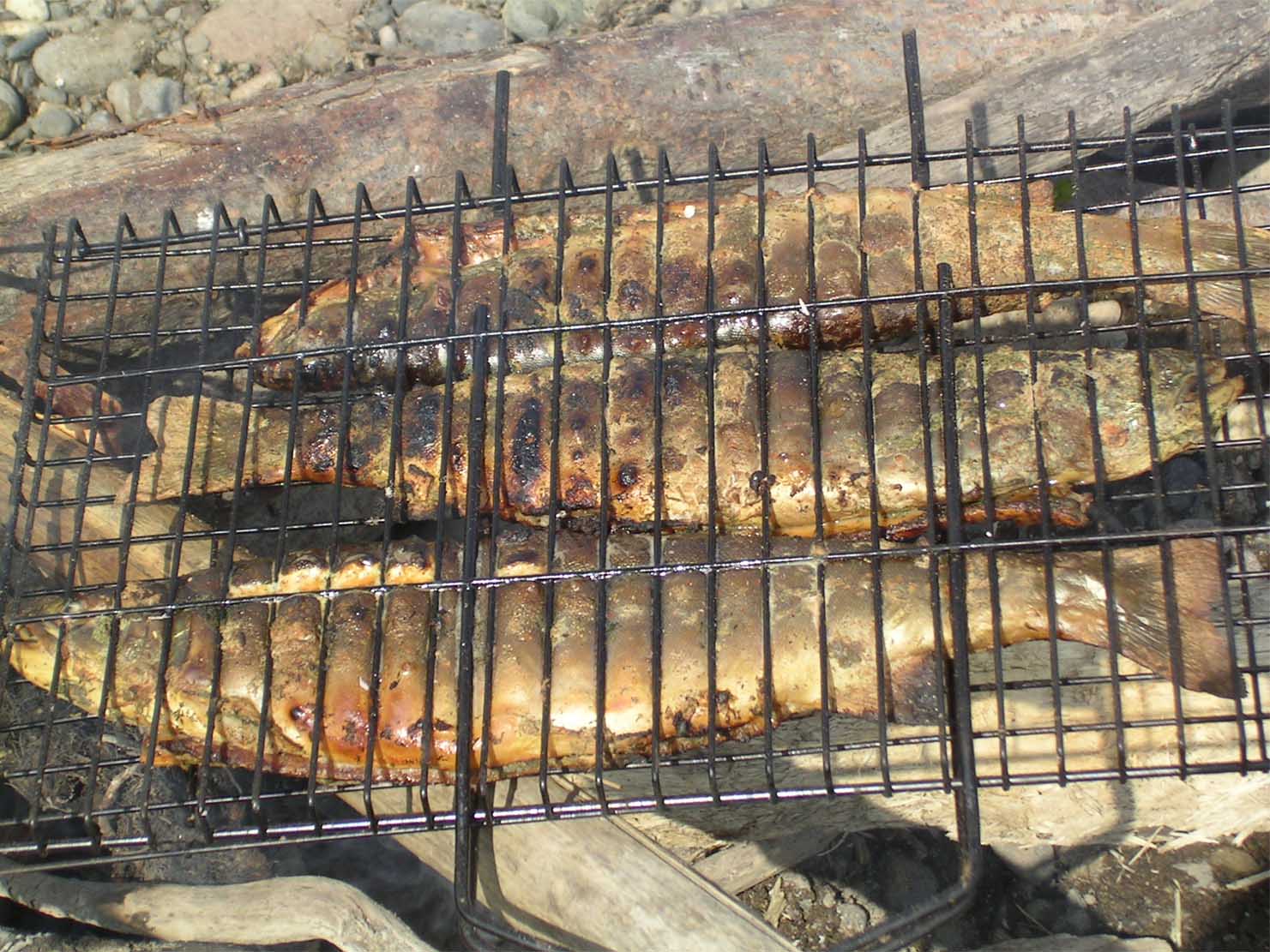 Камчатка!Рыбалка на Чавычу! (13/30)