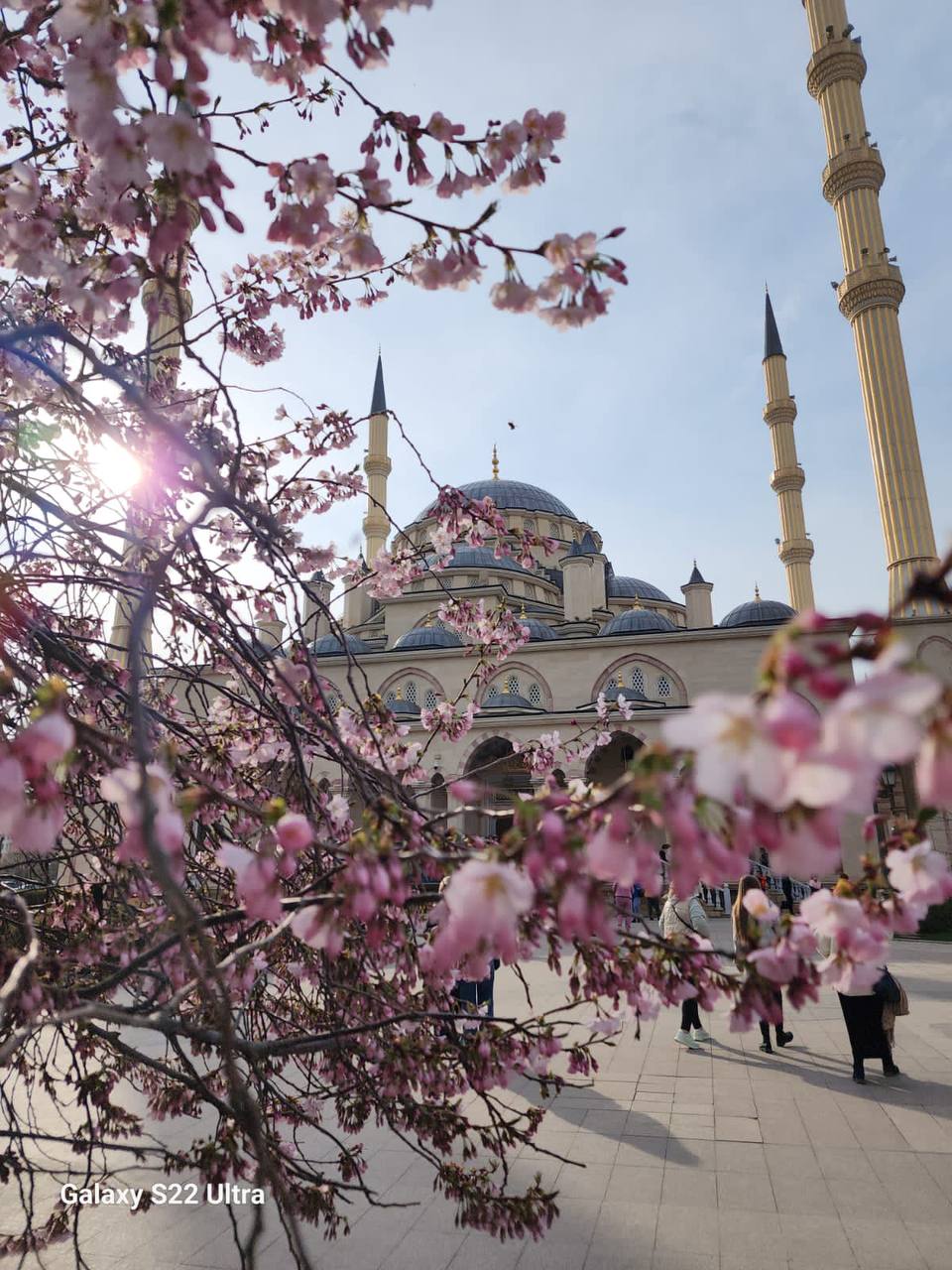 Город Грозный — экскурсия в Чечню