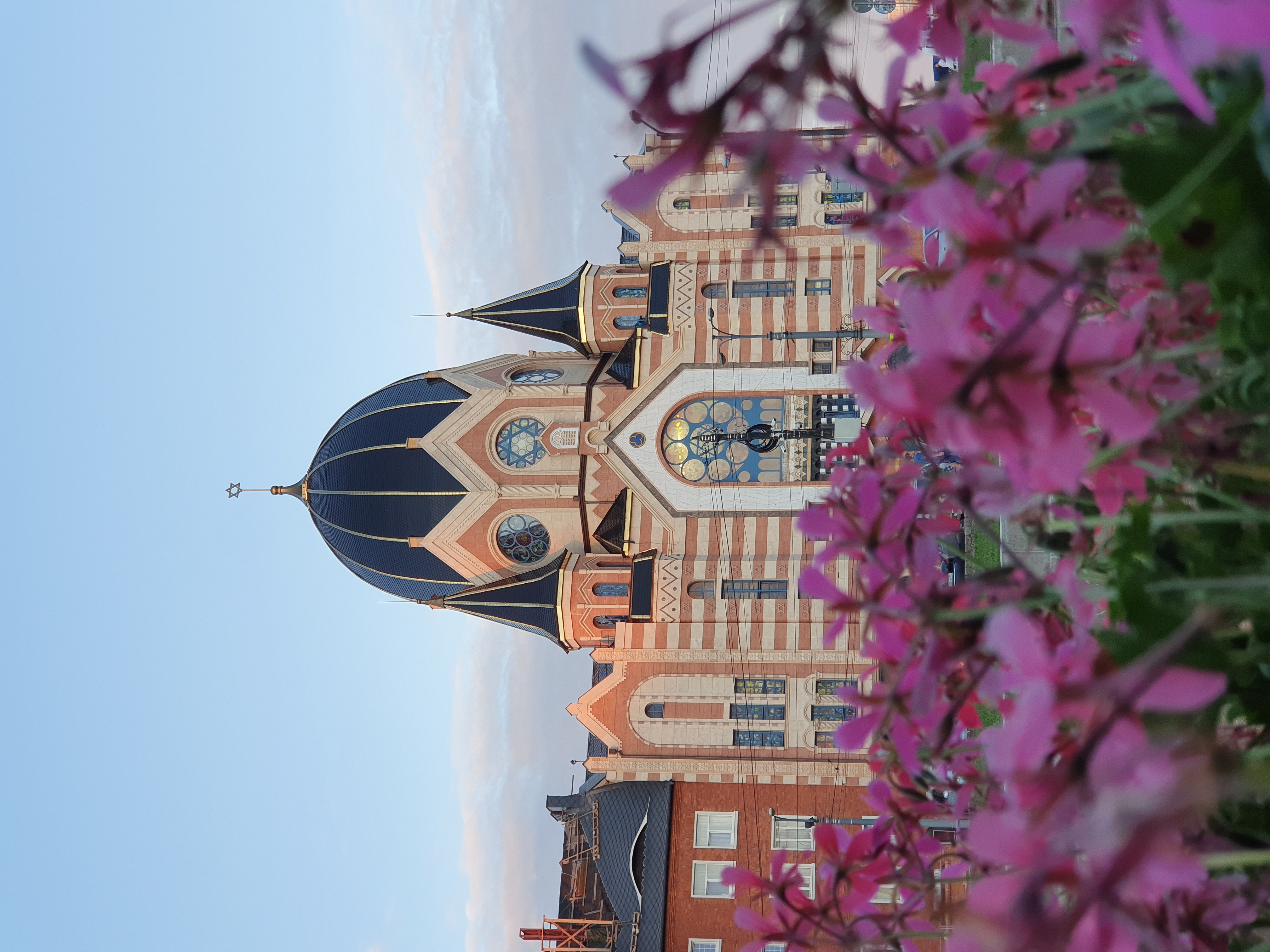 Калининград от местного. С душой и для души! (25/37)