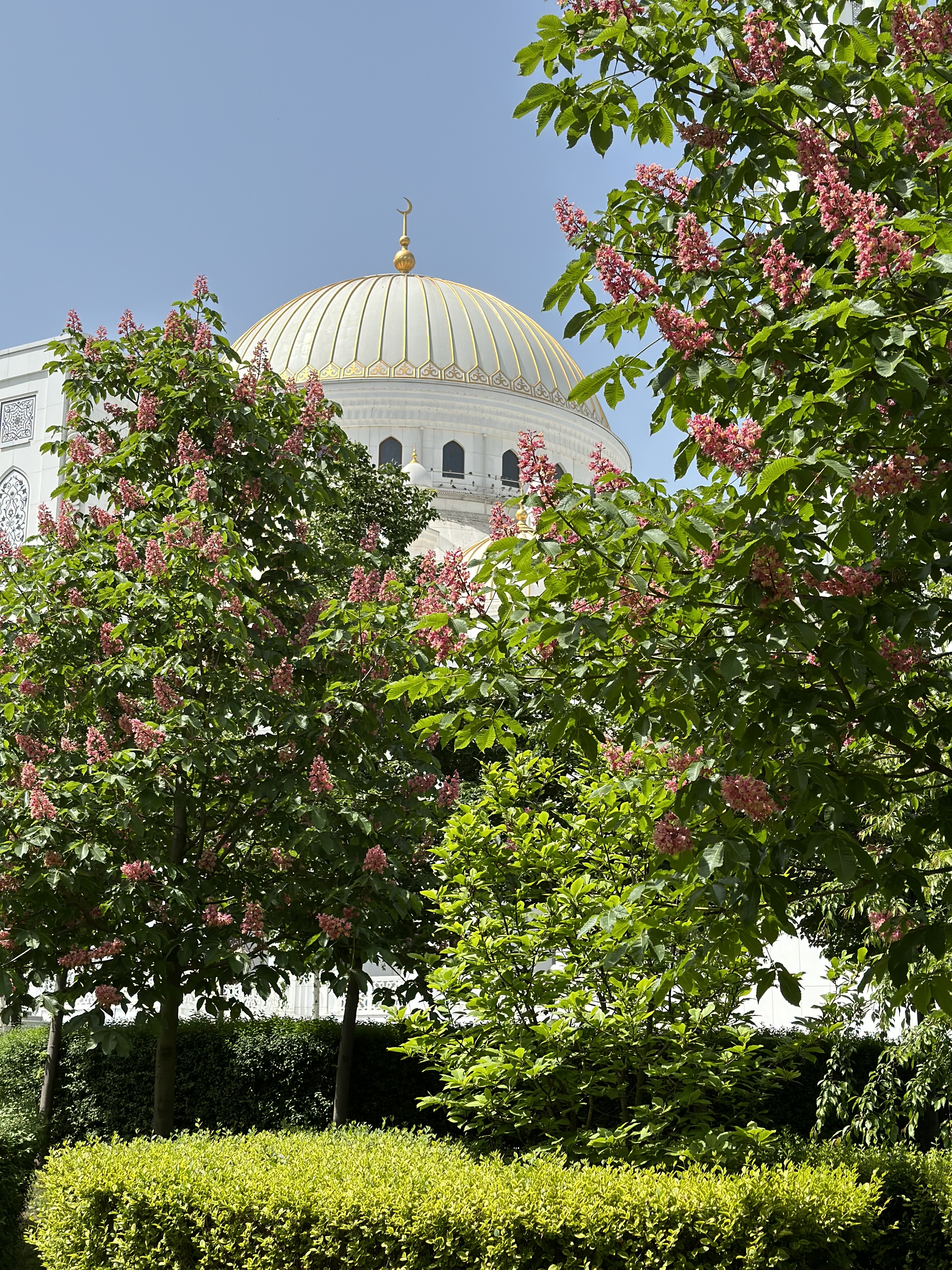 Тур в Чеченскую Республику. Всё Включено. Комфорт Плюс (31/36)