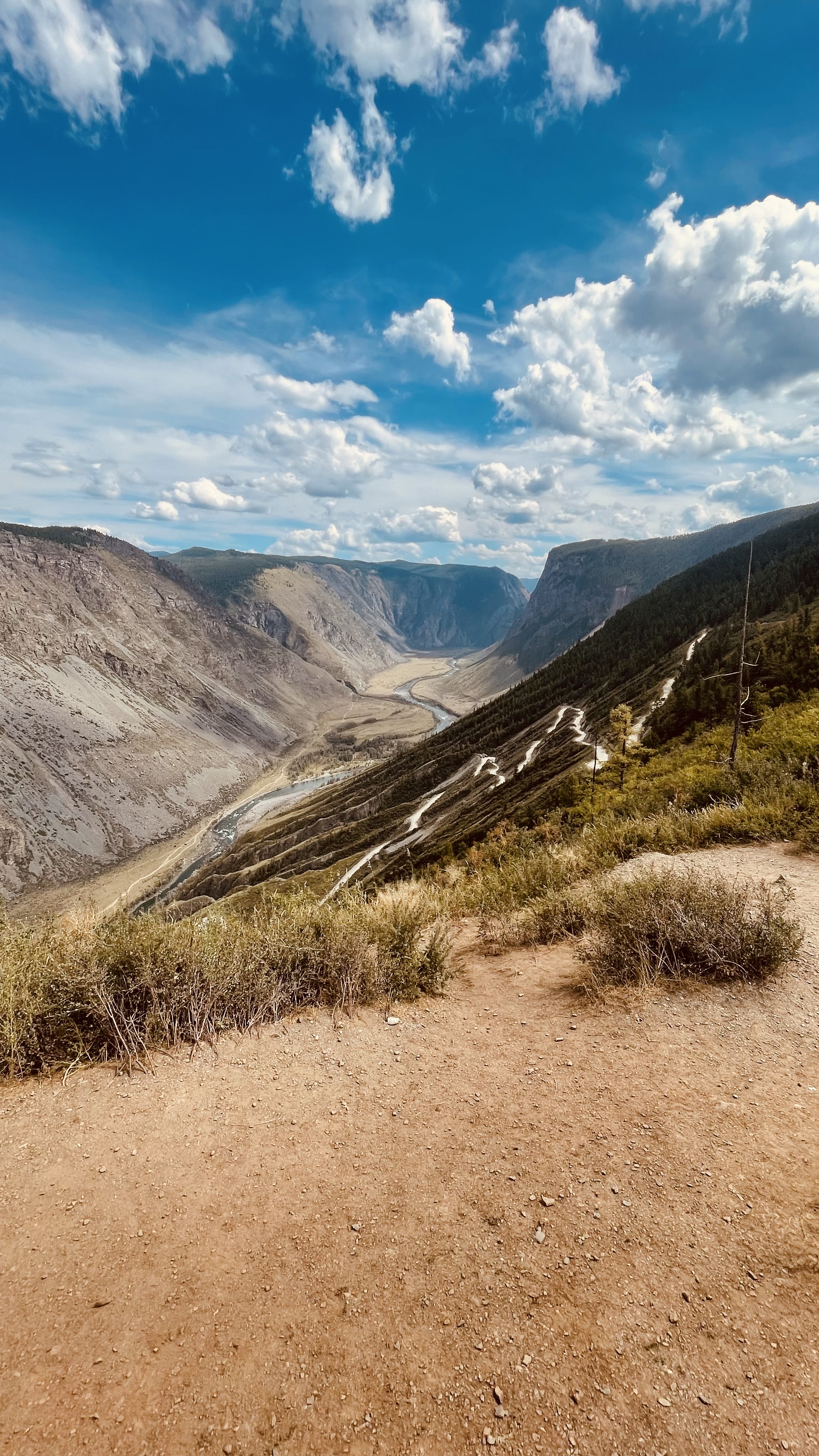 Цветение Маральника: тур на 4 дня (8/12)