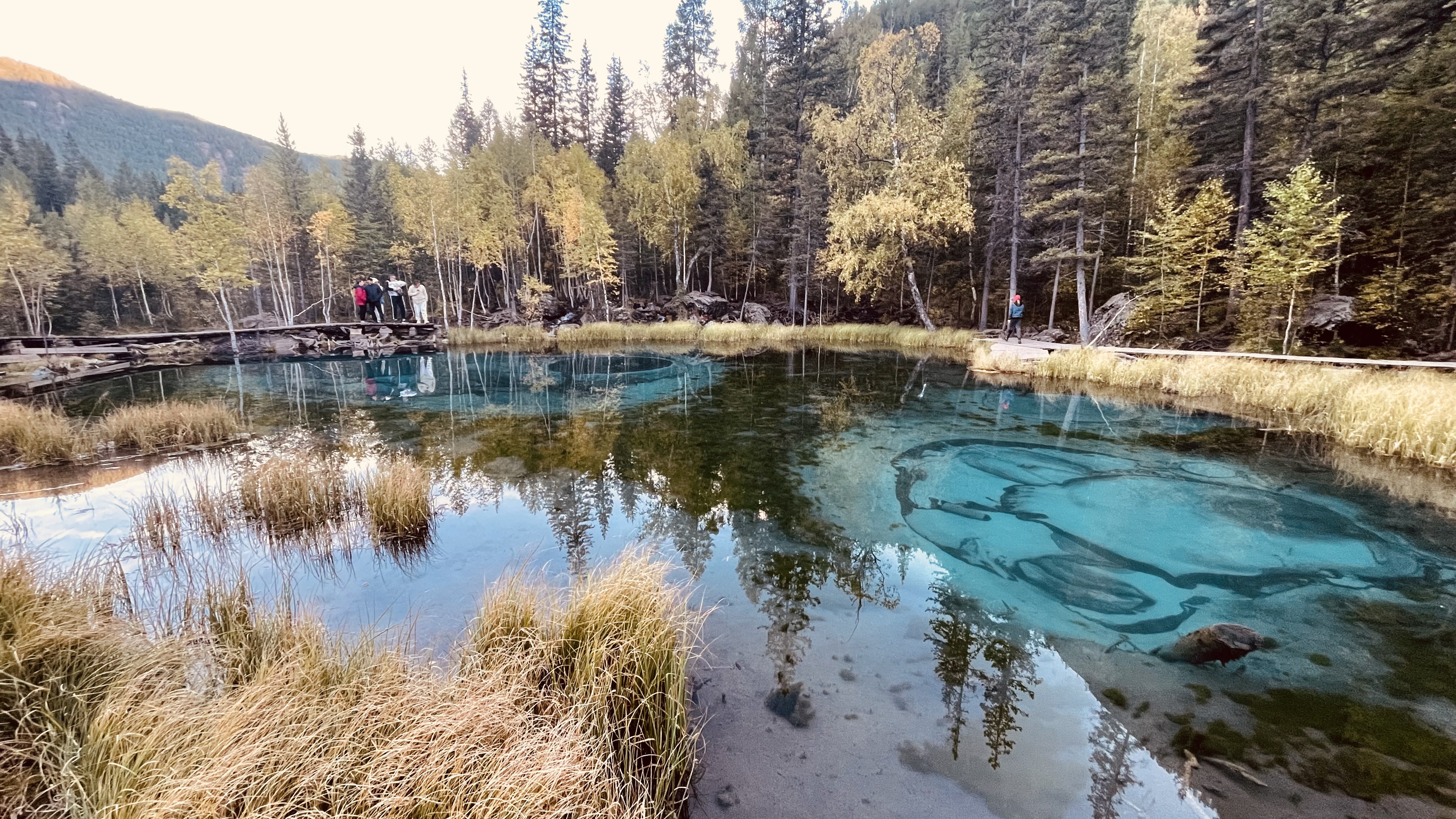 Цветение Маральника: тур на 4 дня (6/12)