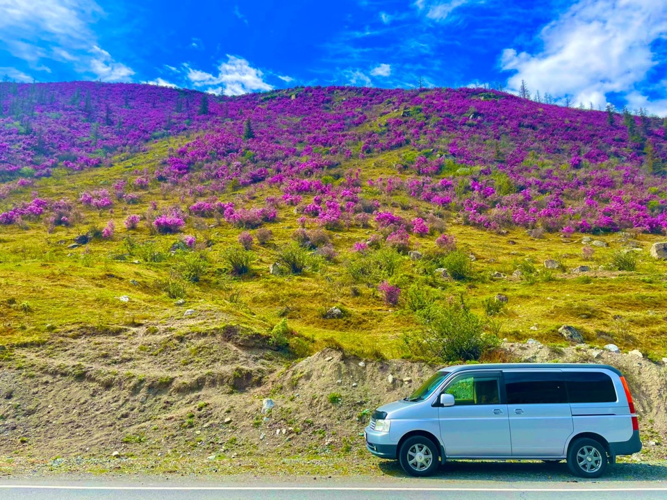 Цветение Маральника: тур на 4 дня (2/12)