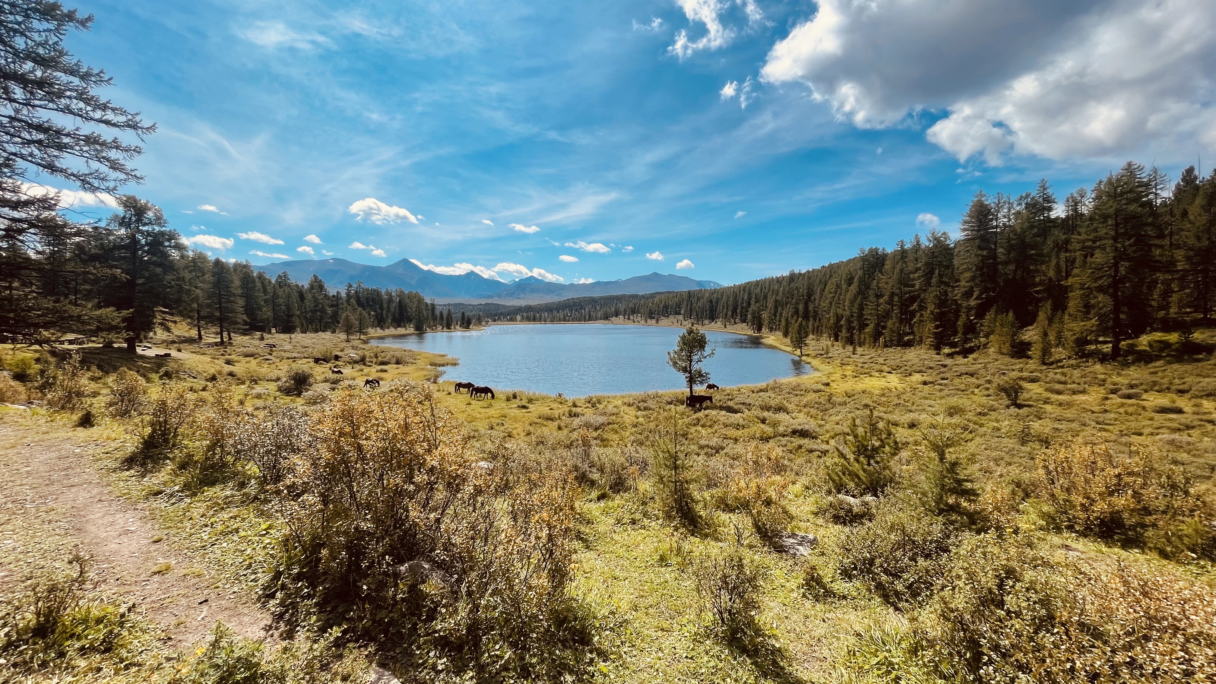 Цветение Маральника: тур на 4 дня (9/12)