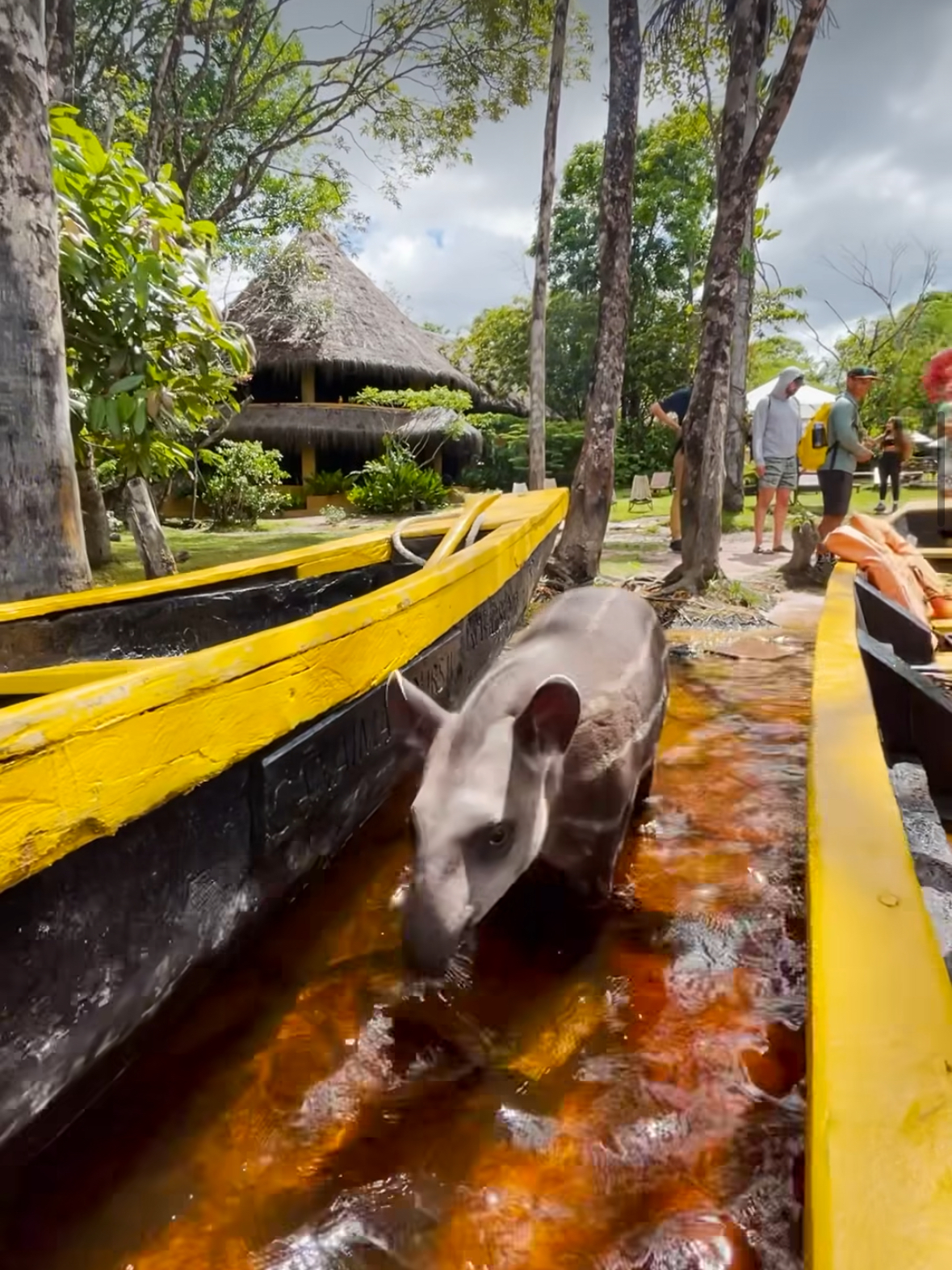 Самый высокий в мире водопад - Анхель (Национальный парк Канайма) индивидуально (10/30)