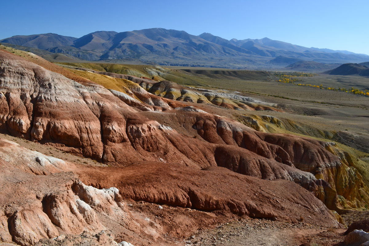 Автомобильный тур по Чуйскому тракту (5/40)