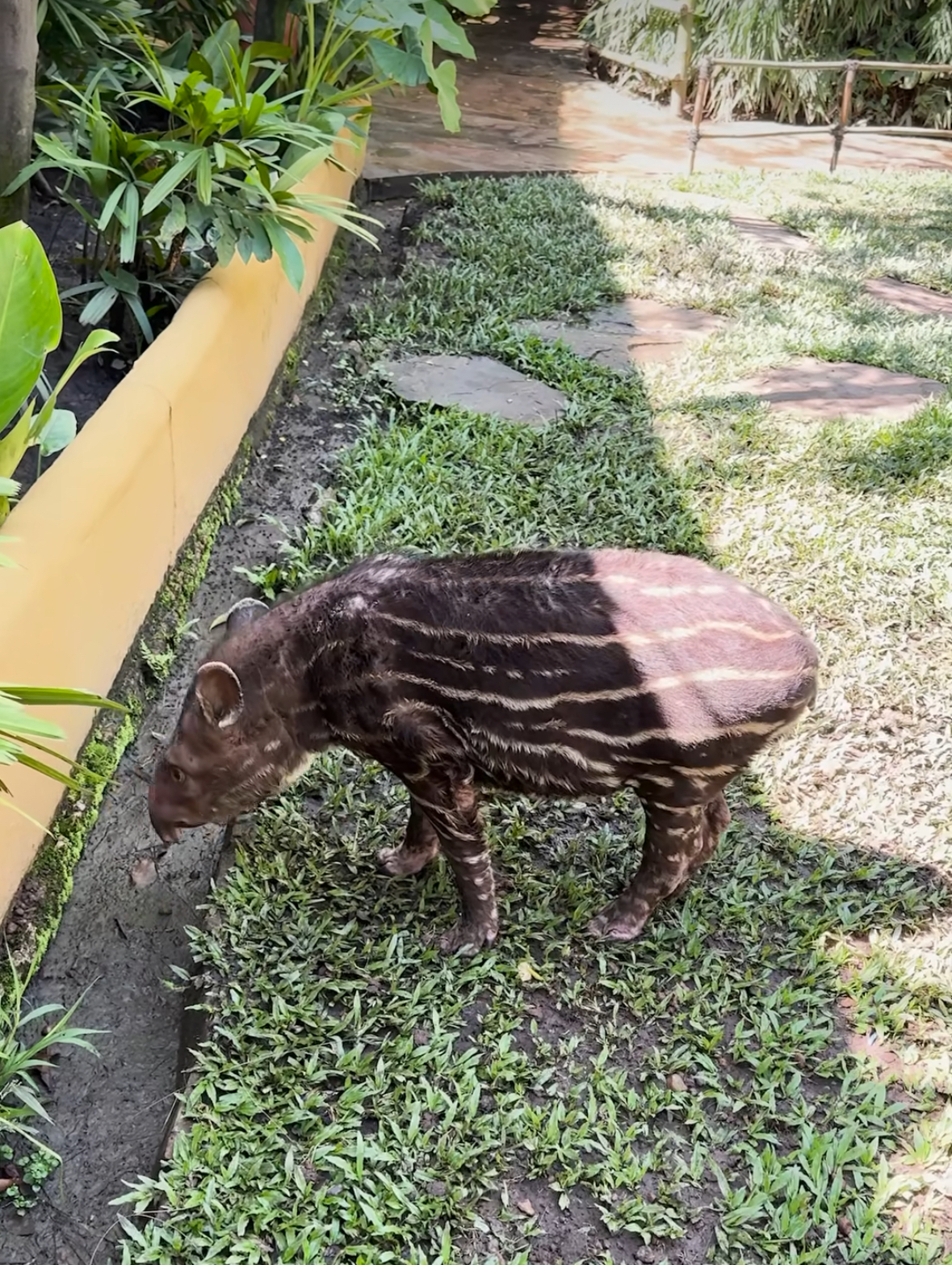 Самый высокий в мире водопад - Анхель (Национальный парк Канайма) индивидуально (8/30)